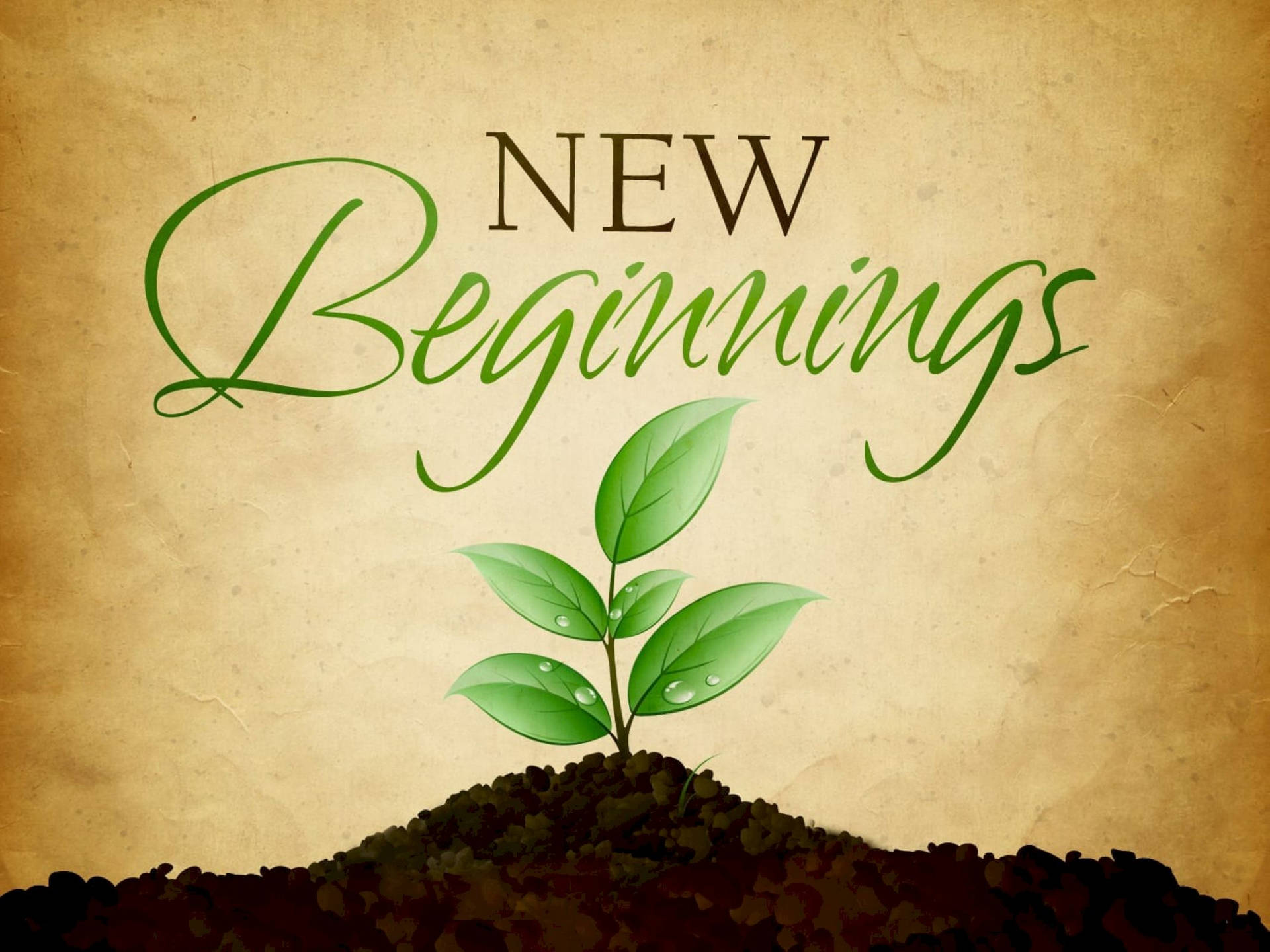 New Beginning Background