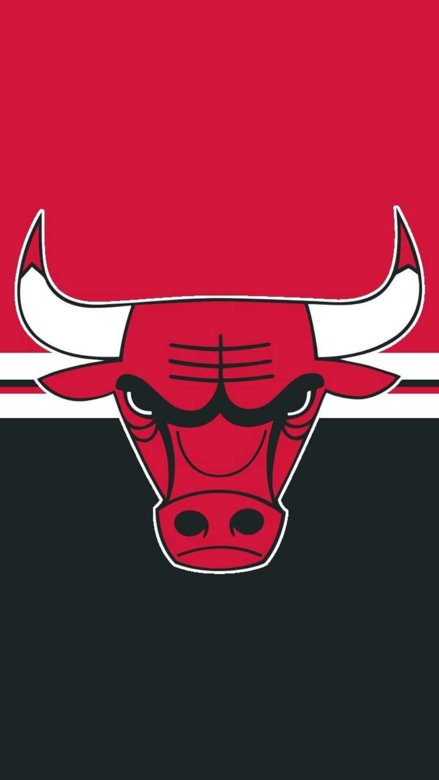 New Chicago Bulls Themed Iphone