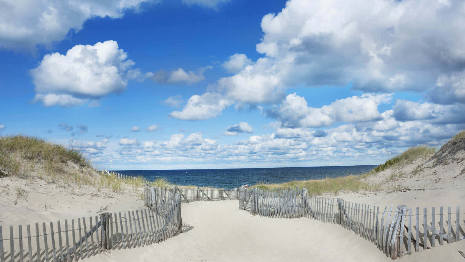 New England Summer Beach Scenery Background