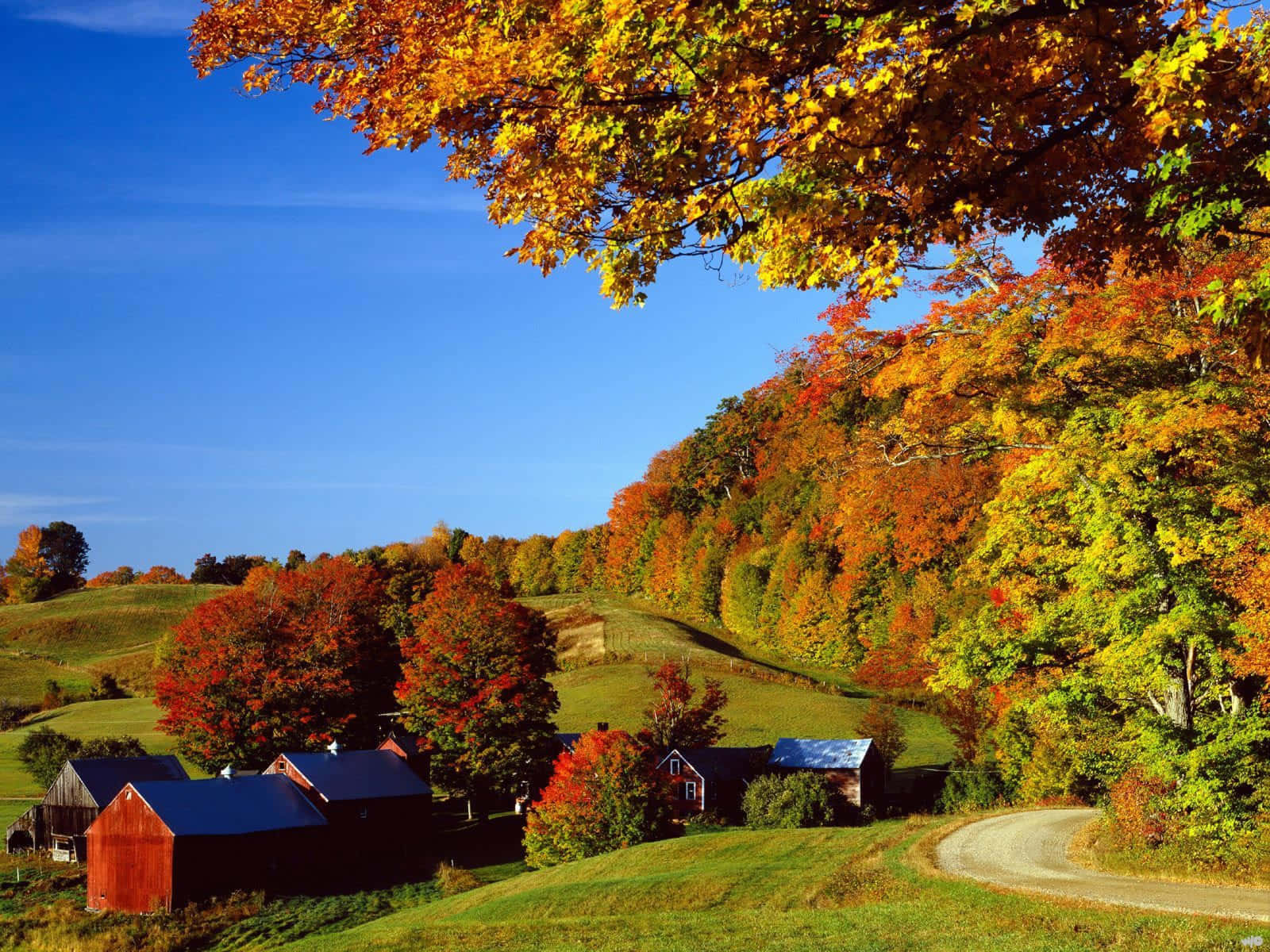 New England Summer Beautiful Scenery Background