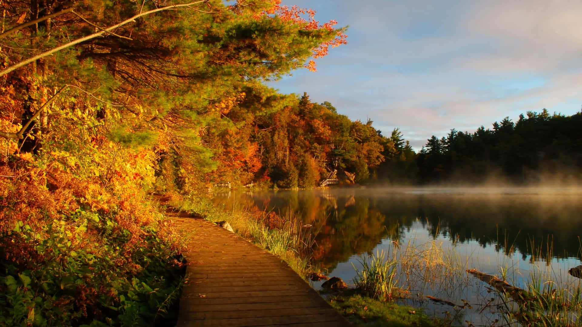 New England Summer Park Lake Background