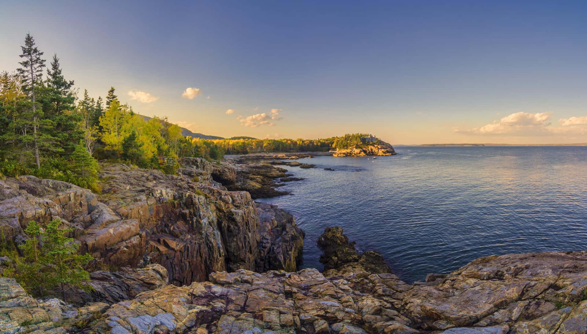 New England Summer Sea Cliffs Background