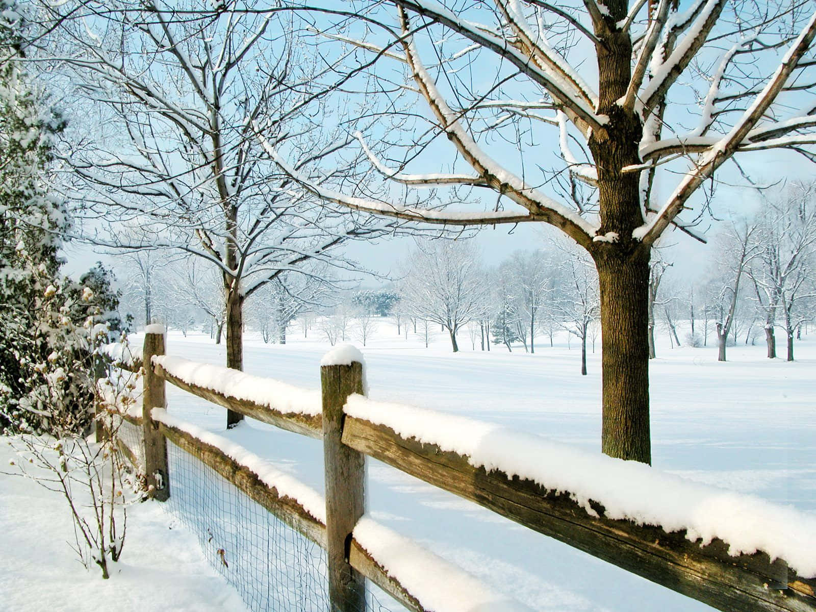 New Hampshire Winter Fence Painting Background