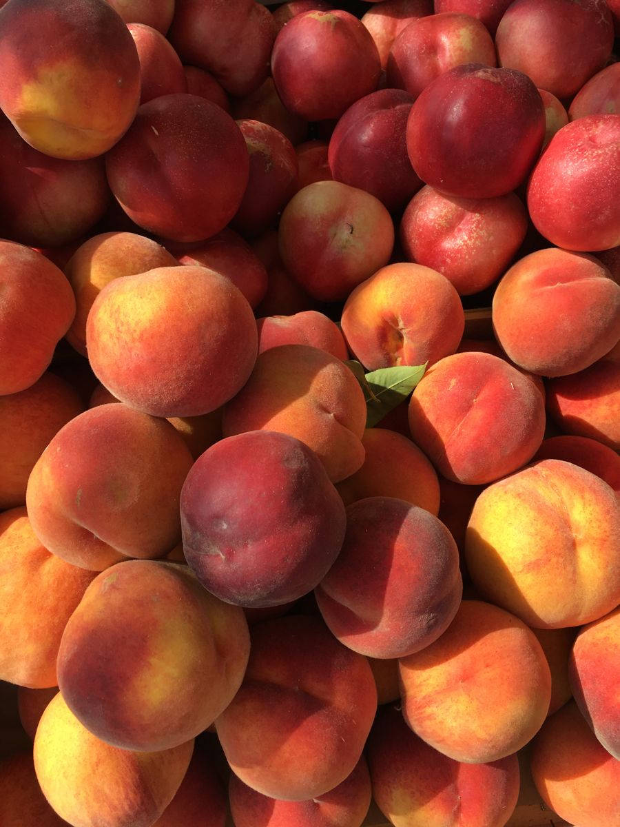 New Harvest Nectarine Fruit Background