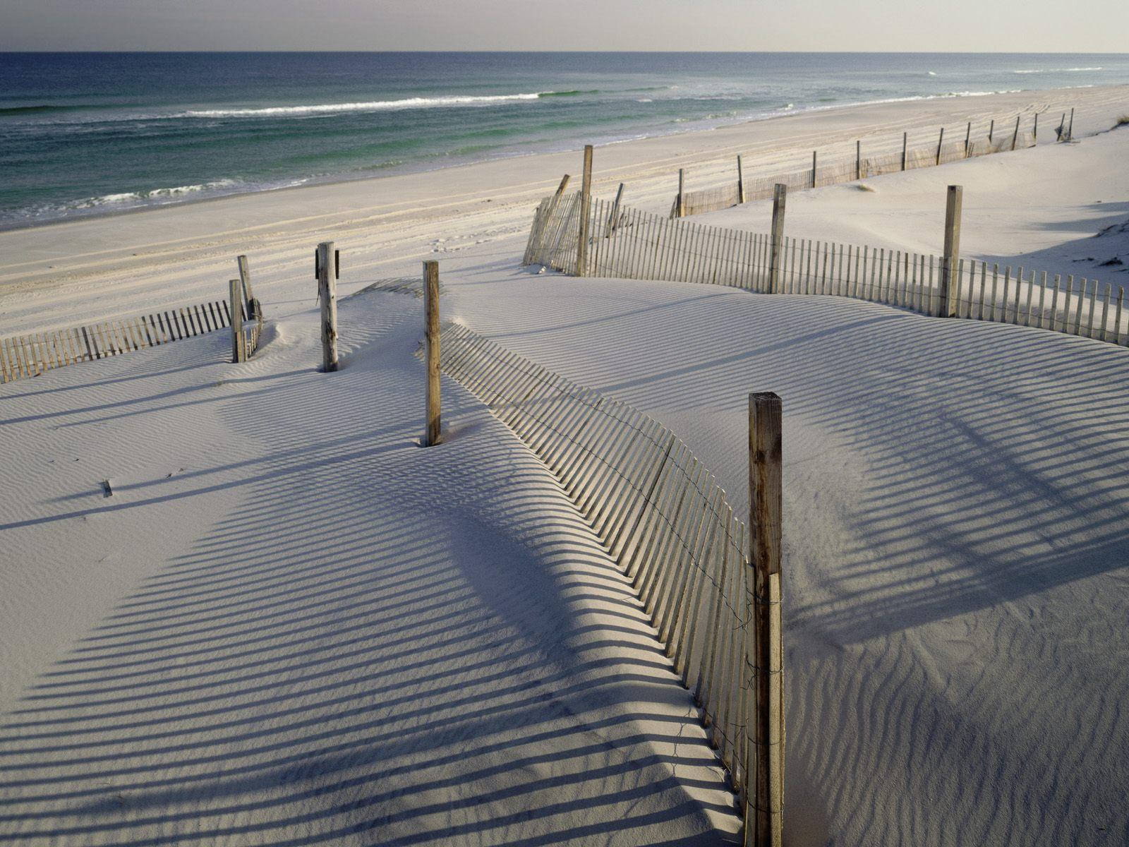 New Jersey Beach Background