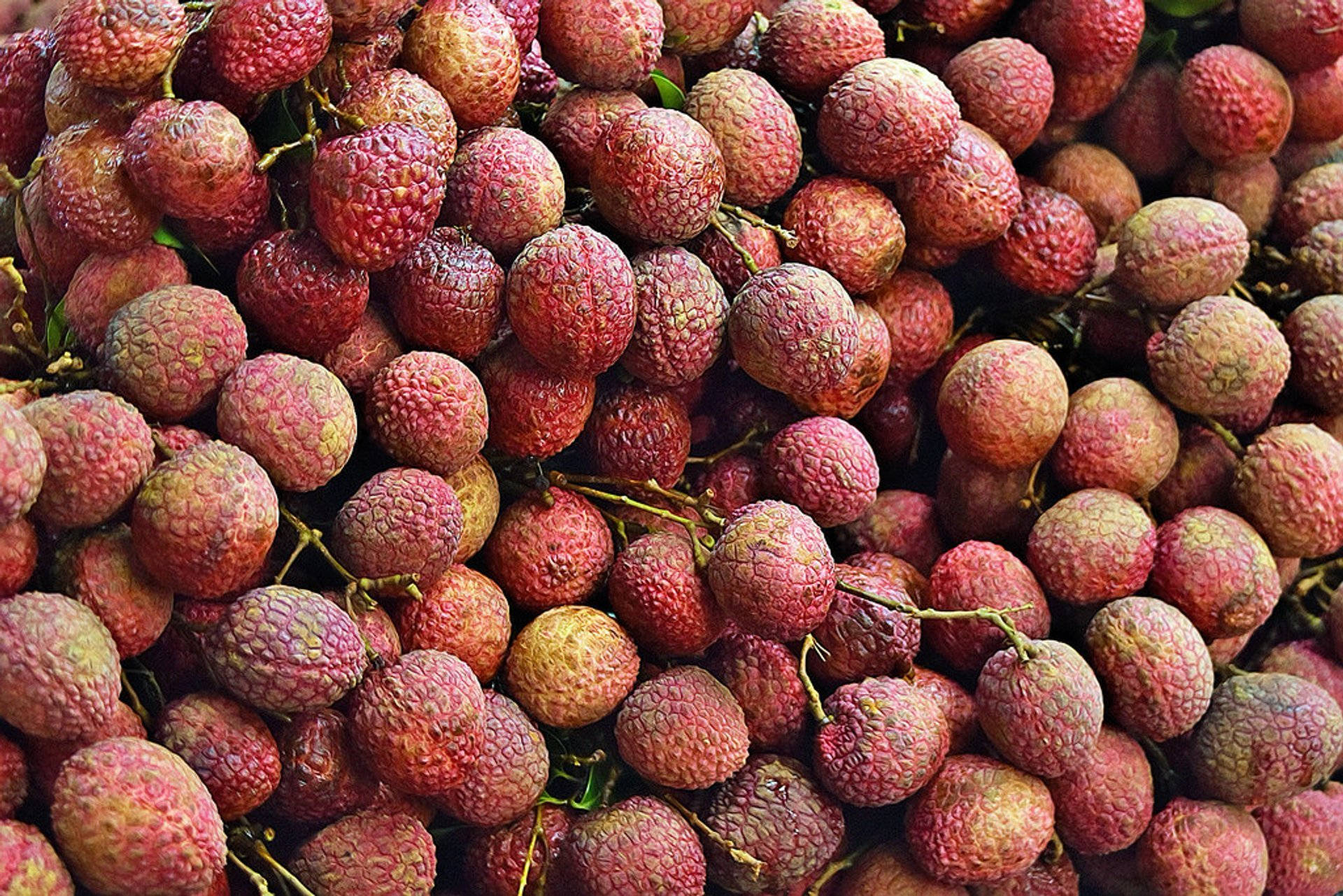New Litchis Produce