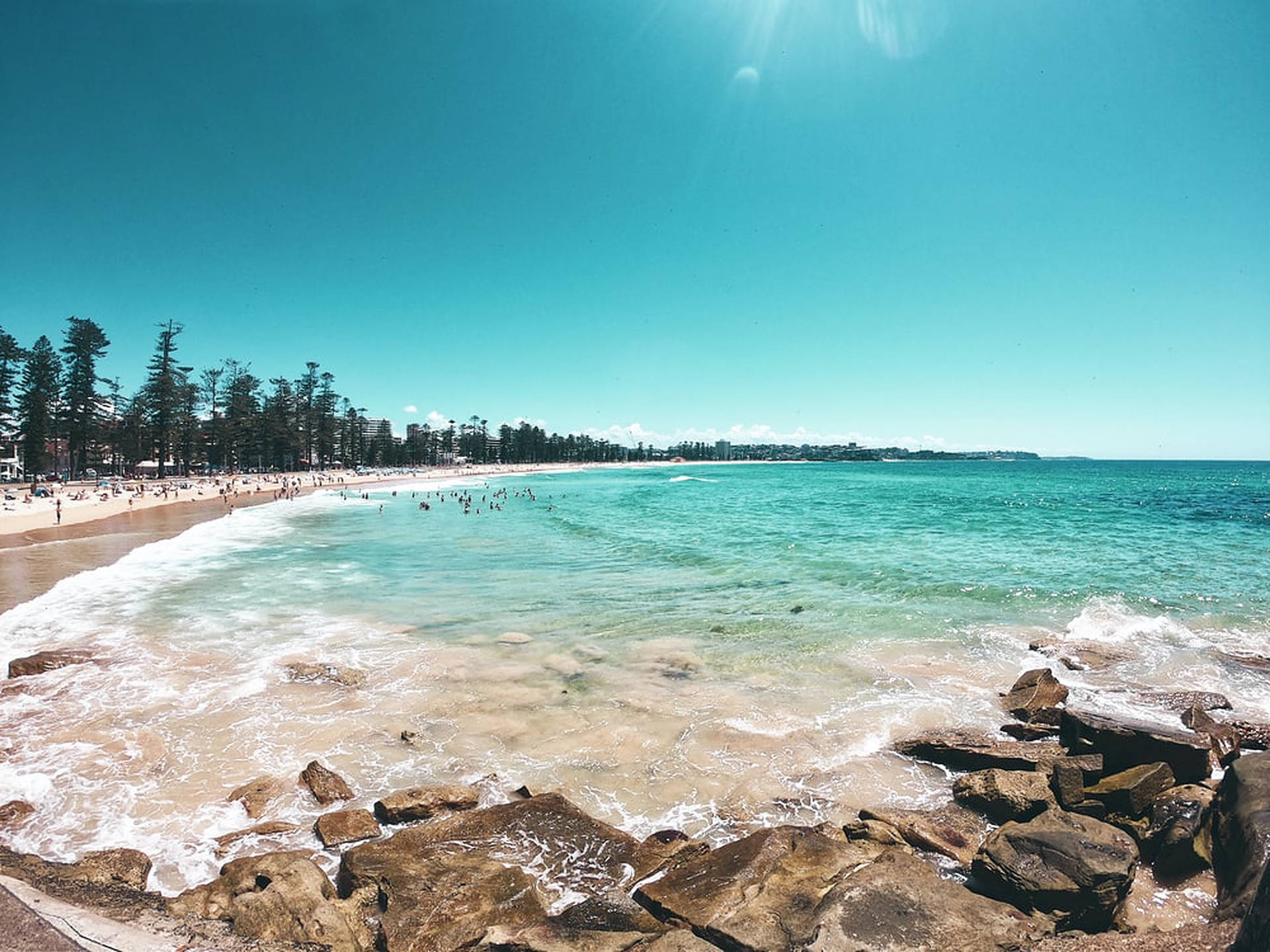 New South Wales Manly Beach Background