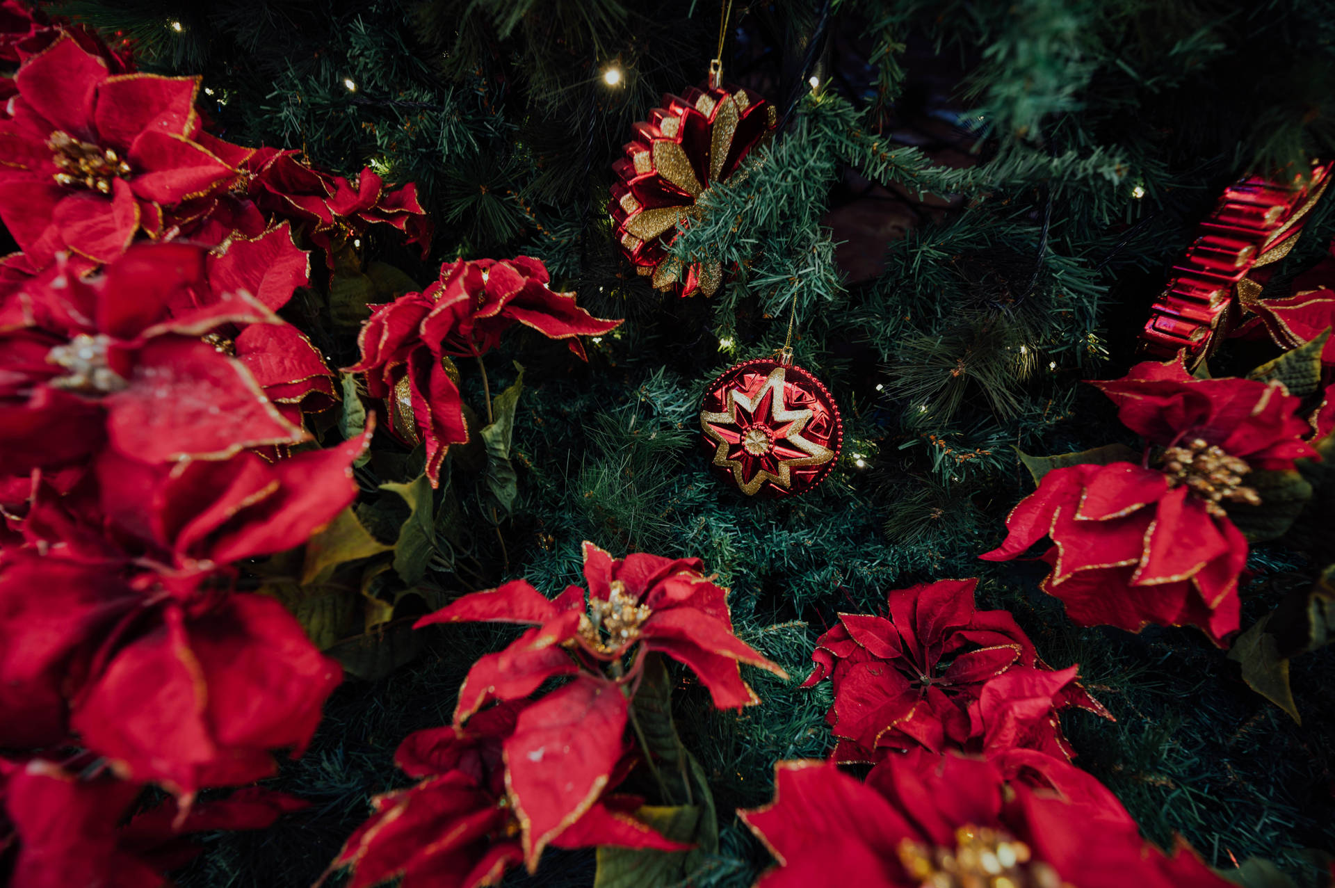 New Year's Poinsettia Decoration And Ornaments Background