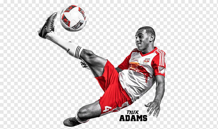 New York Red Bulls Tyler Adams Background