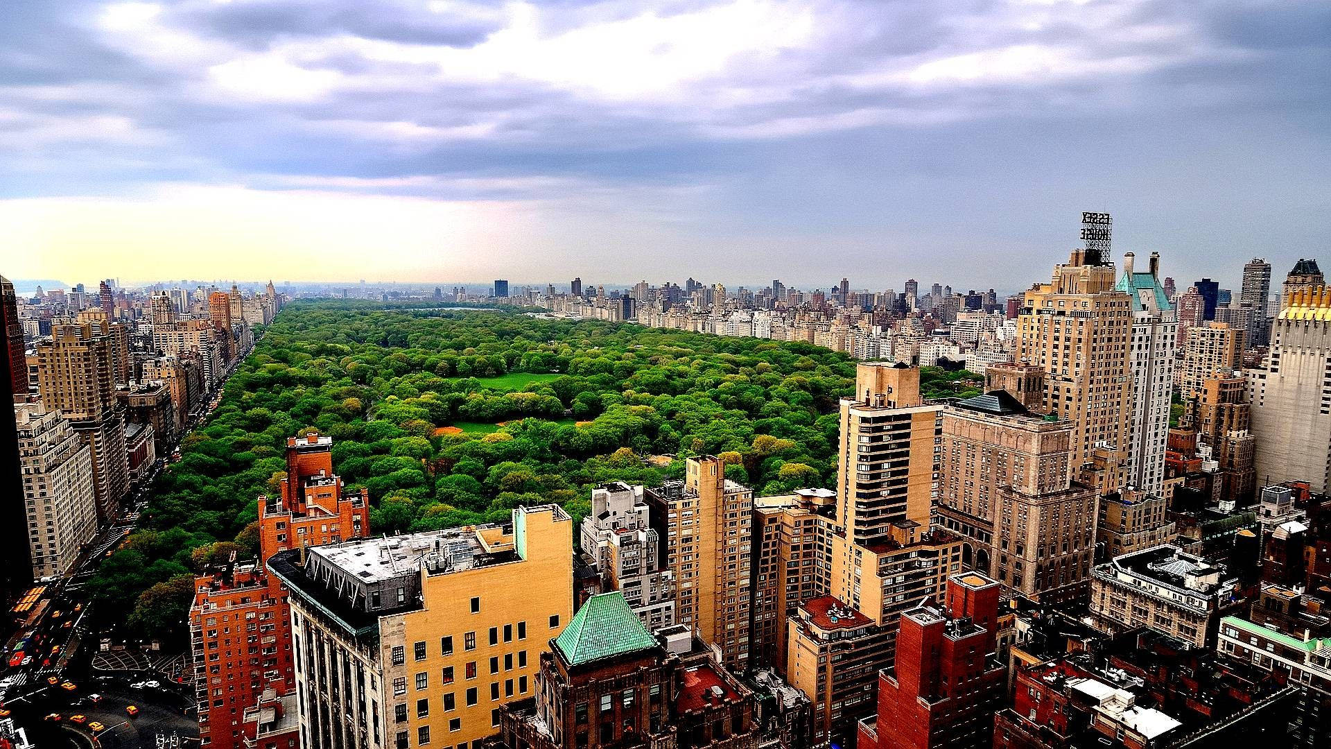 New York Skyline From Central Park Background