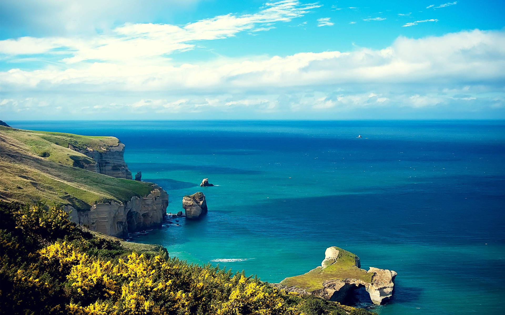 New Zealand Costal Cliff Background