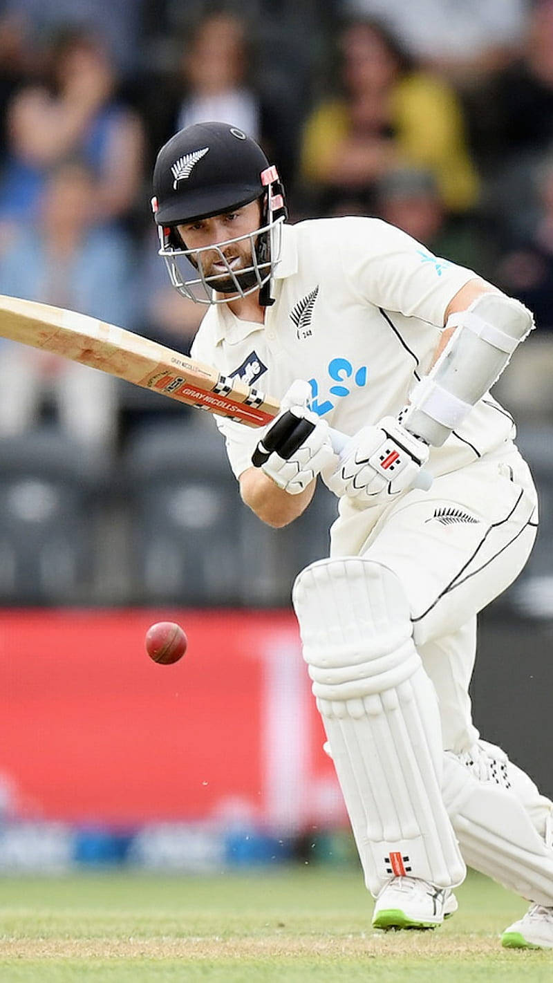 New Zealand Cricket All-white Uniform Background