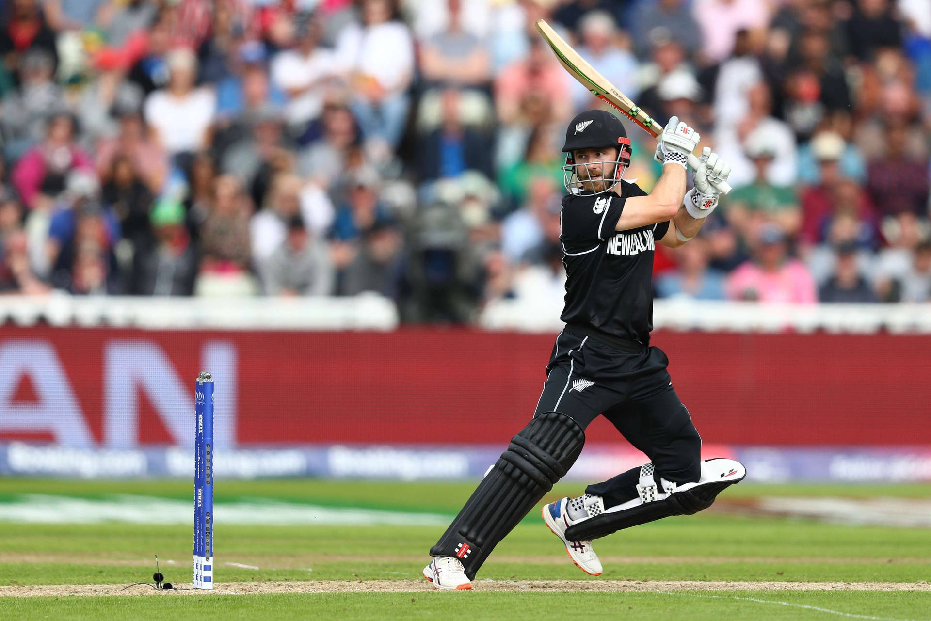 New Zealand Cricket Game With Williamson Background