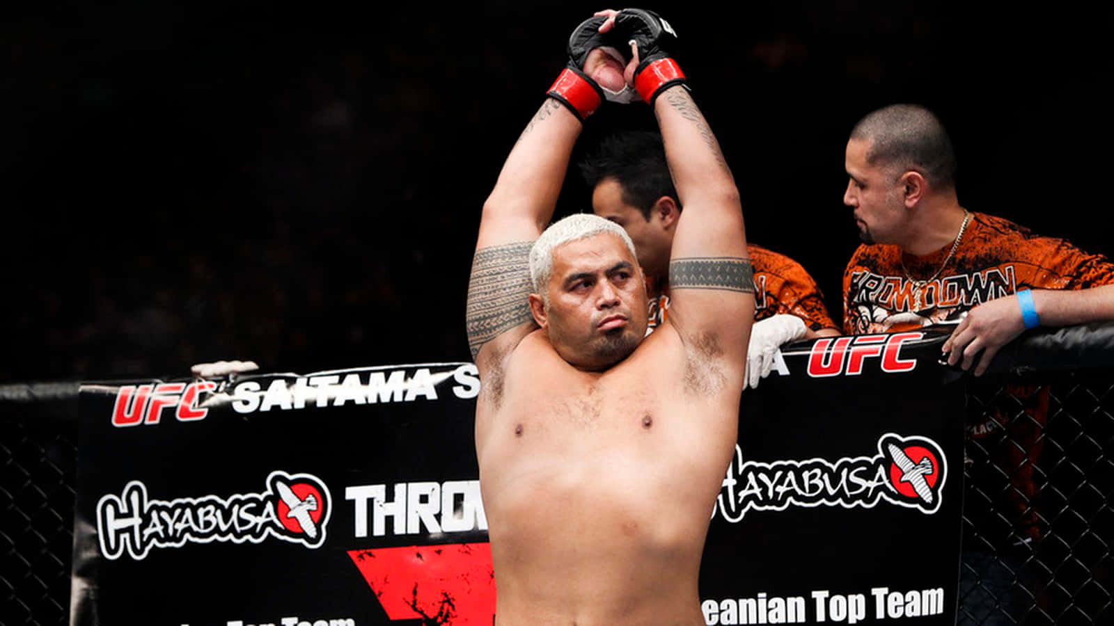 New Zealand Martial Artist Mark Hunt Background