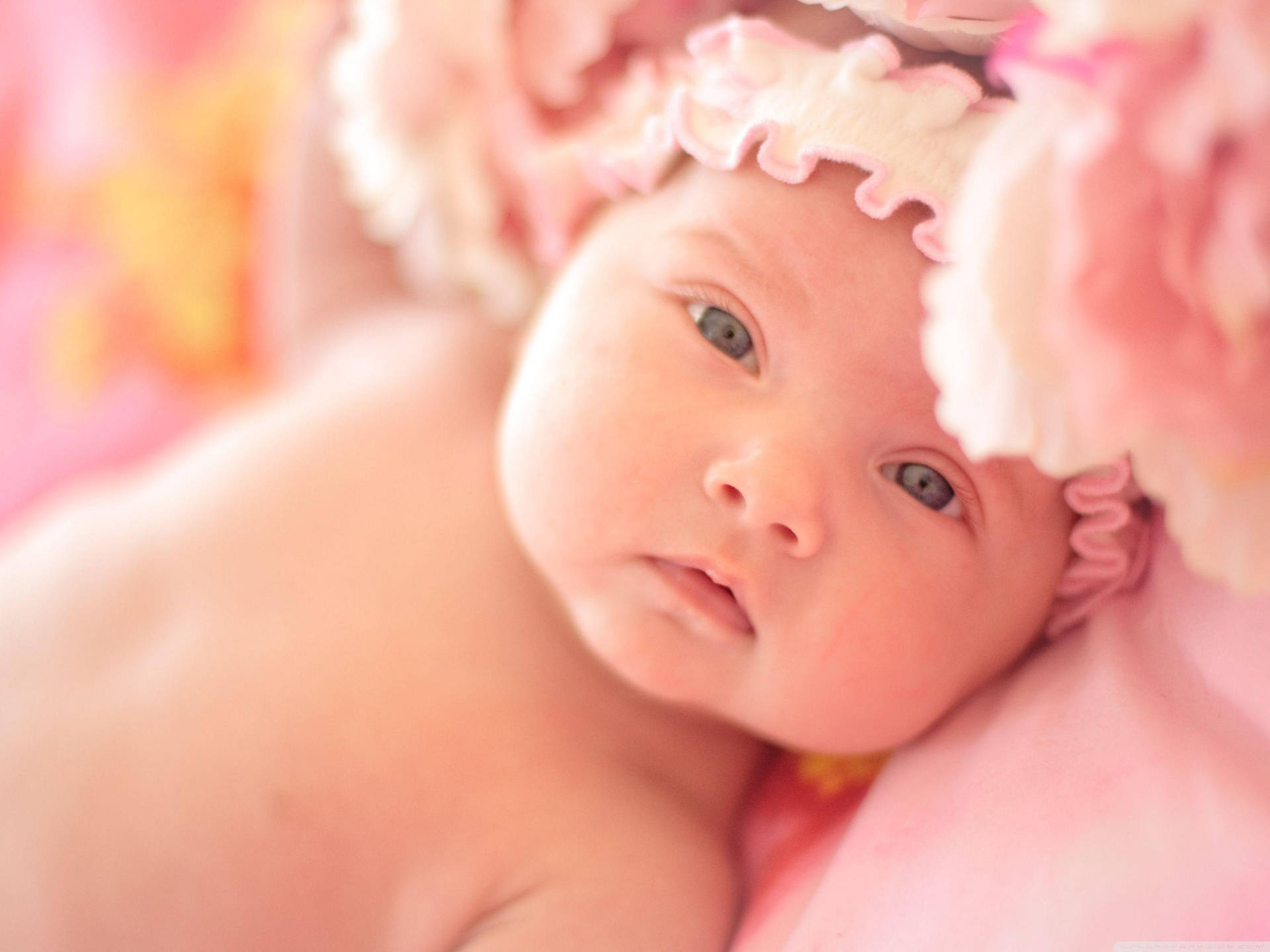 Newborn Baby Tenderly Cradled In Mother's Hands Background