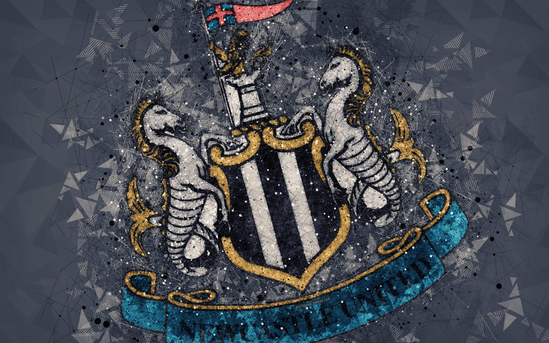 Newcastle United Fc Art