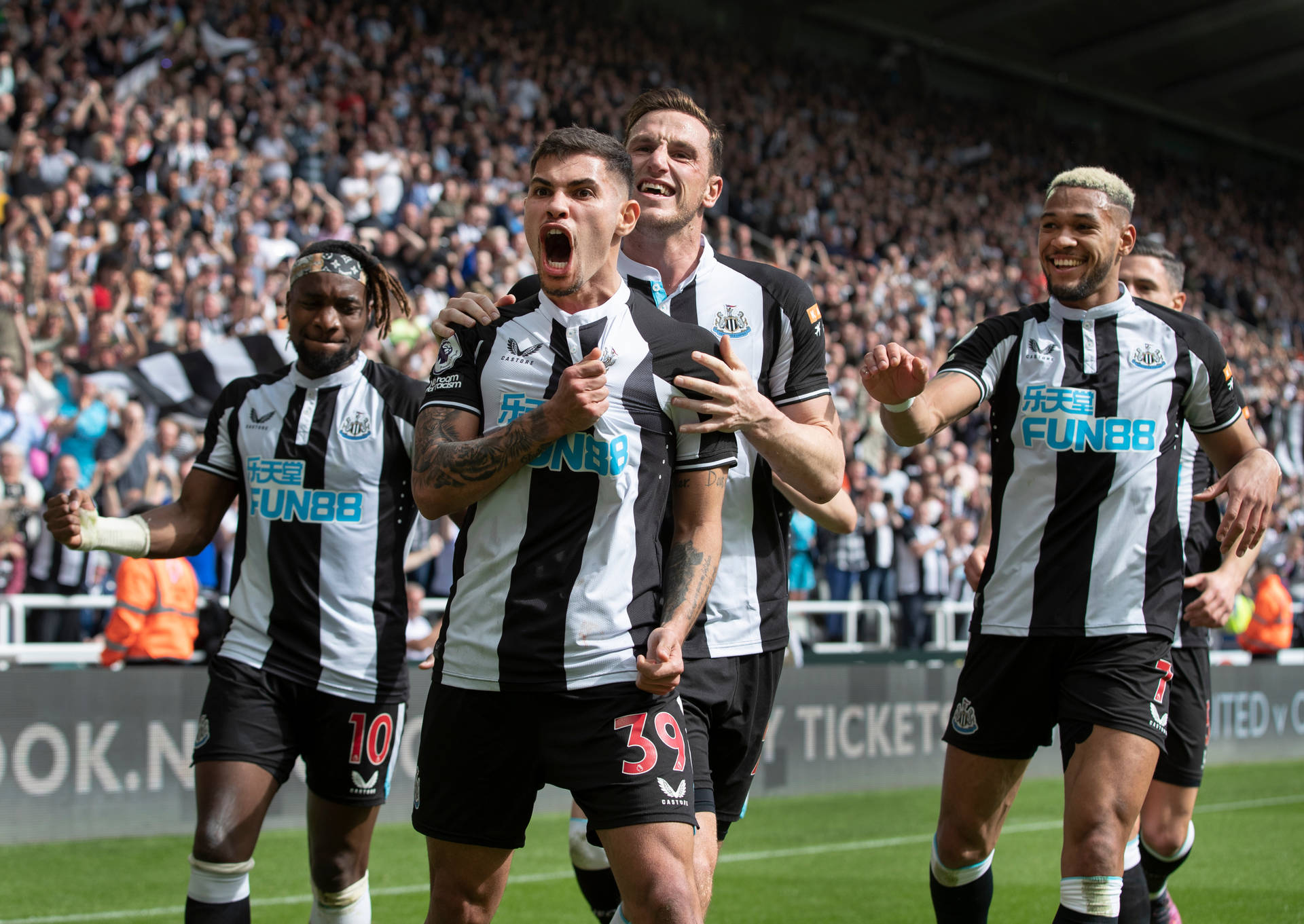 Newcastle United Fc Celebrating