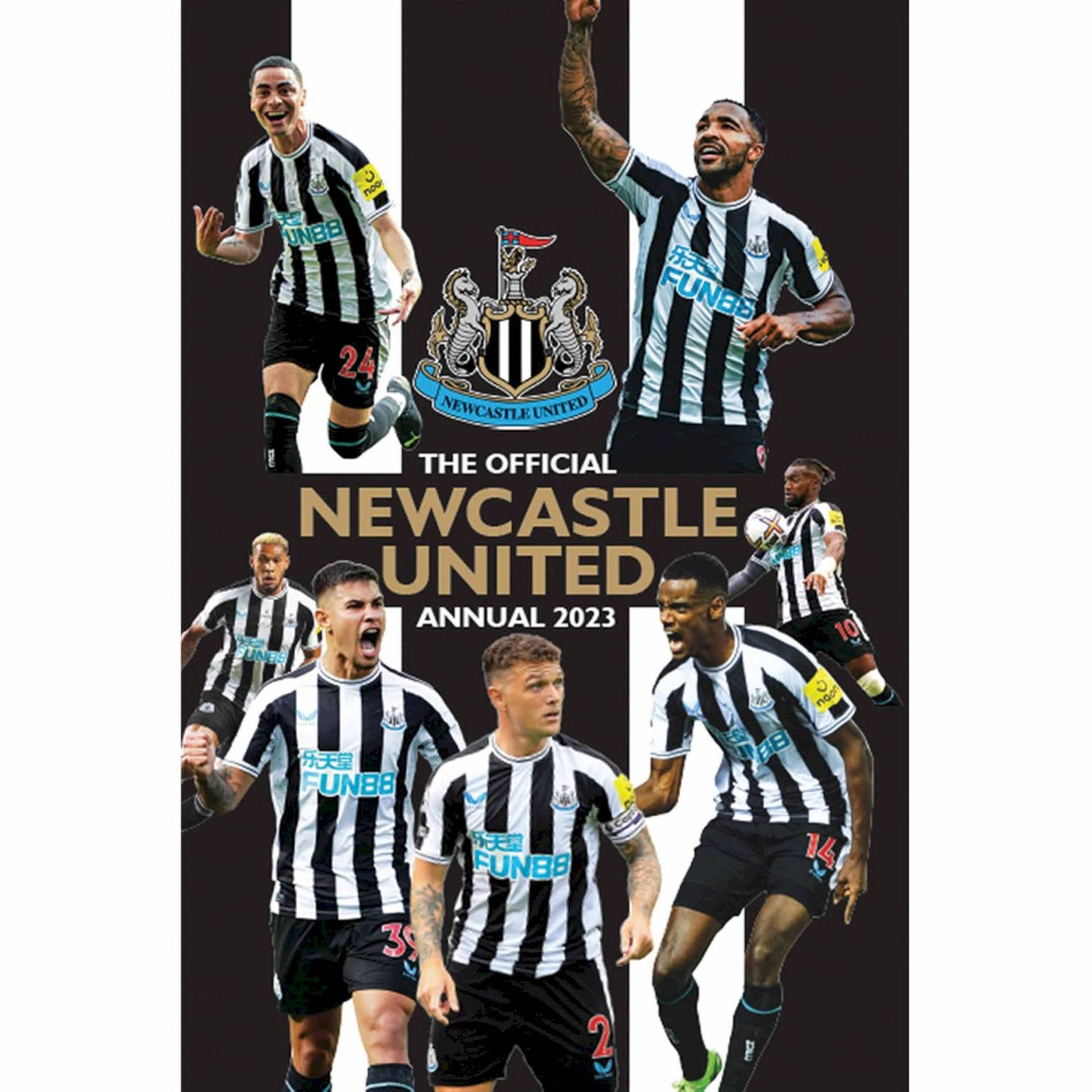 Newcastle United Fc Collage