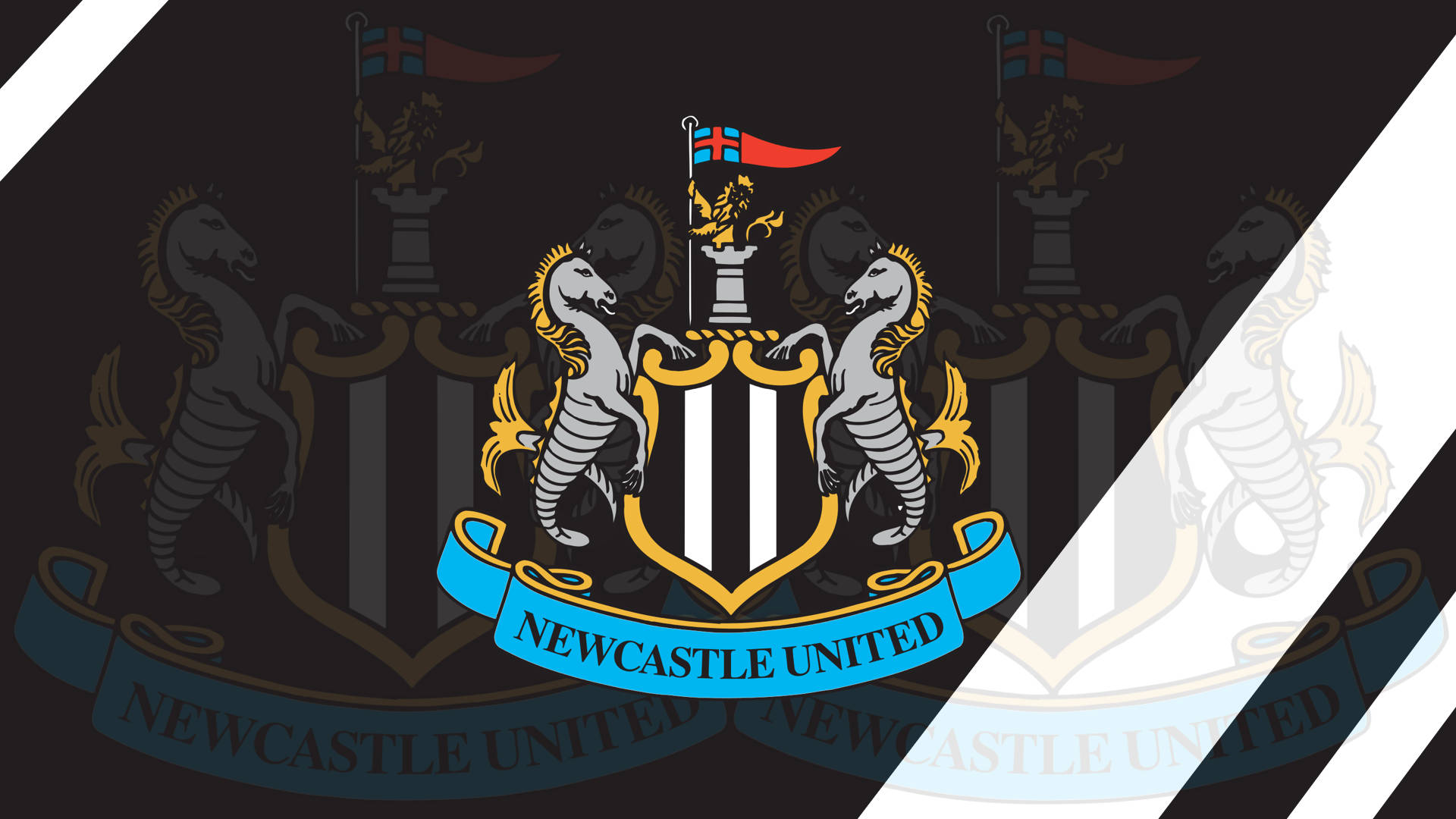 Newcastle United Fc Faded Logo