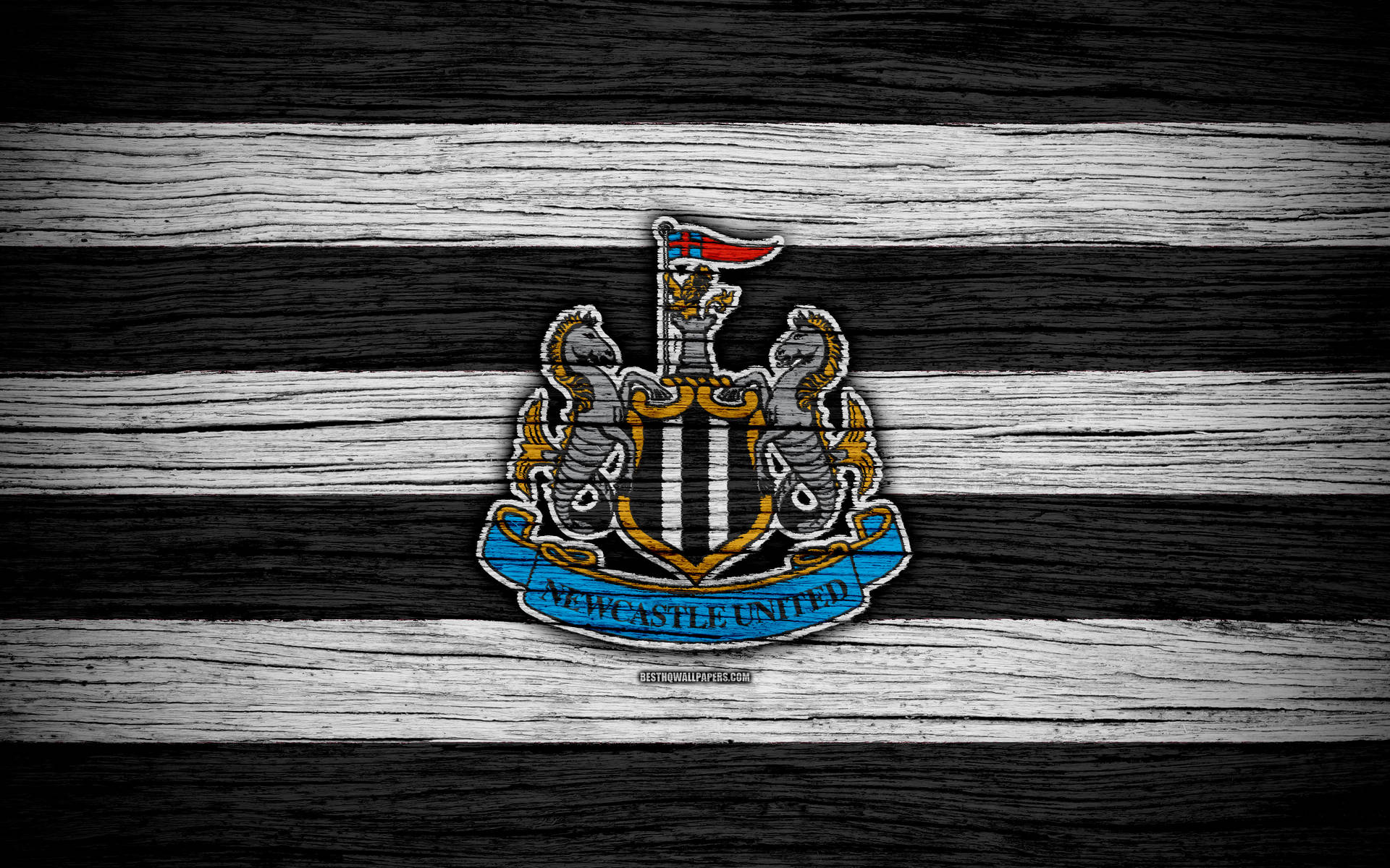 Newcastle United Fc Logo On Wood Background