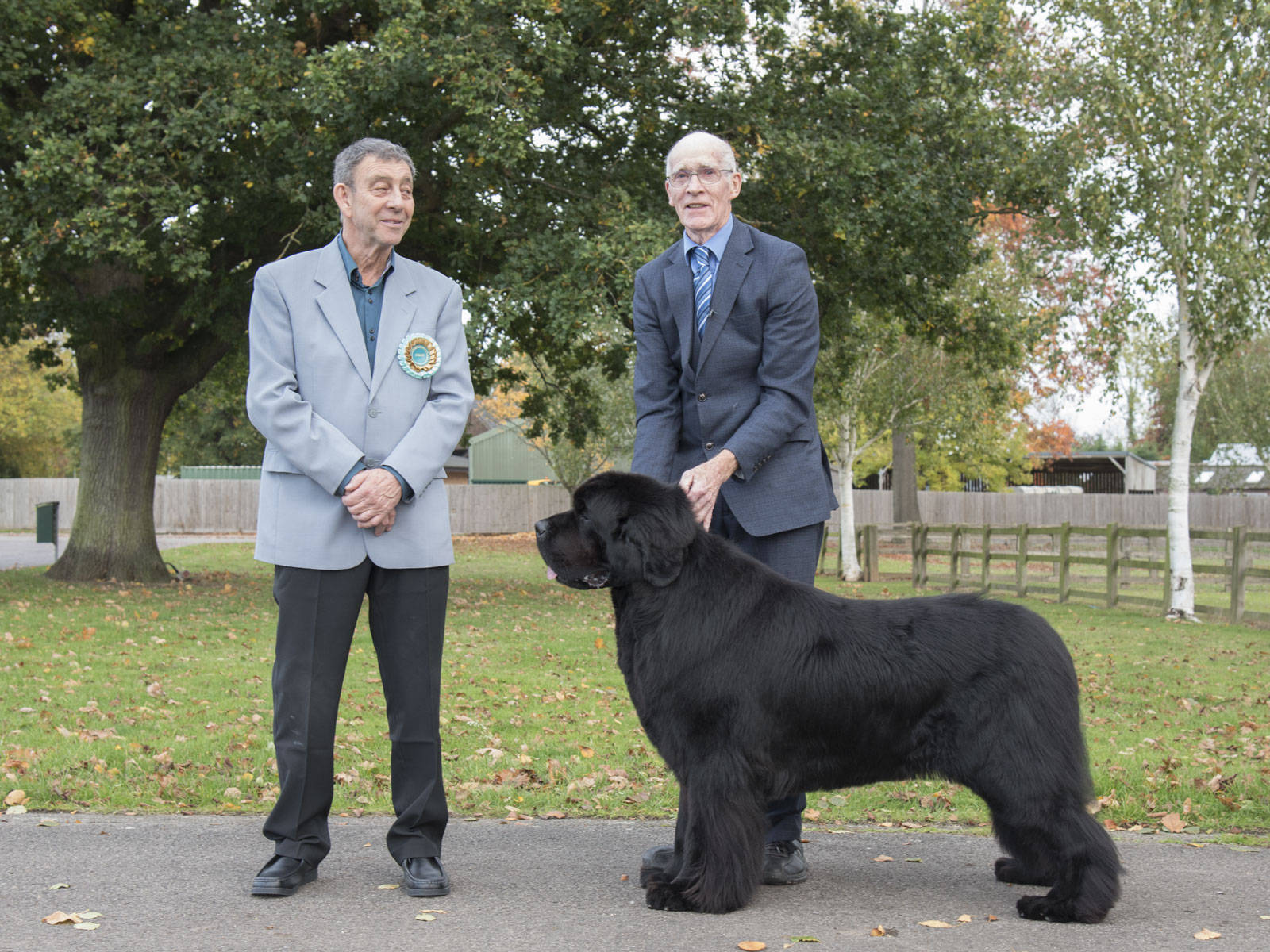 Newfoundland Dog And Its Owners