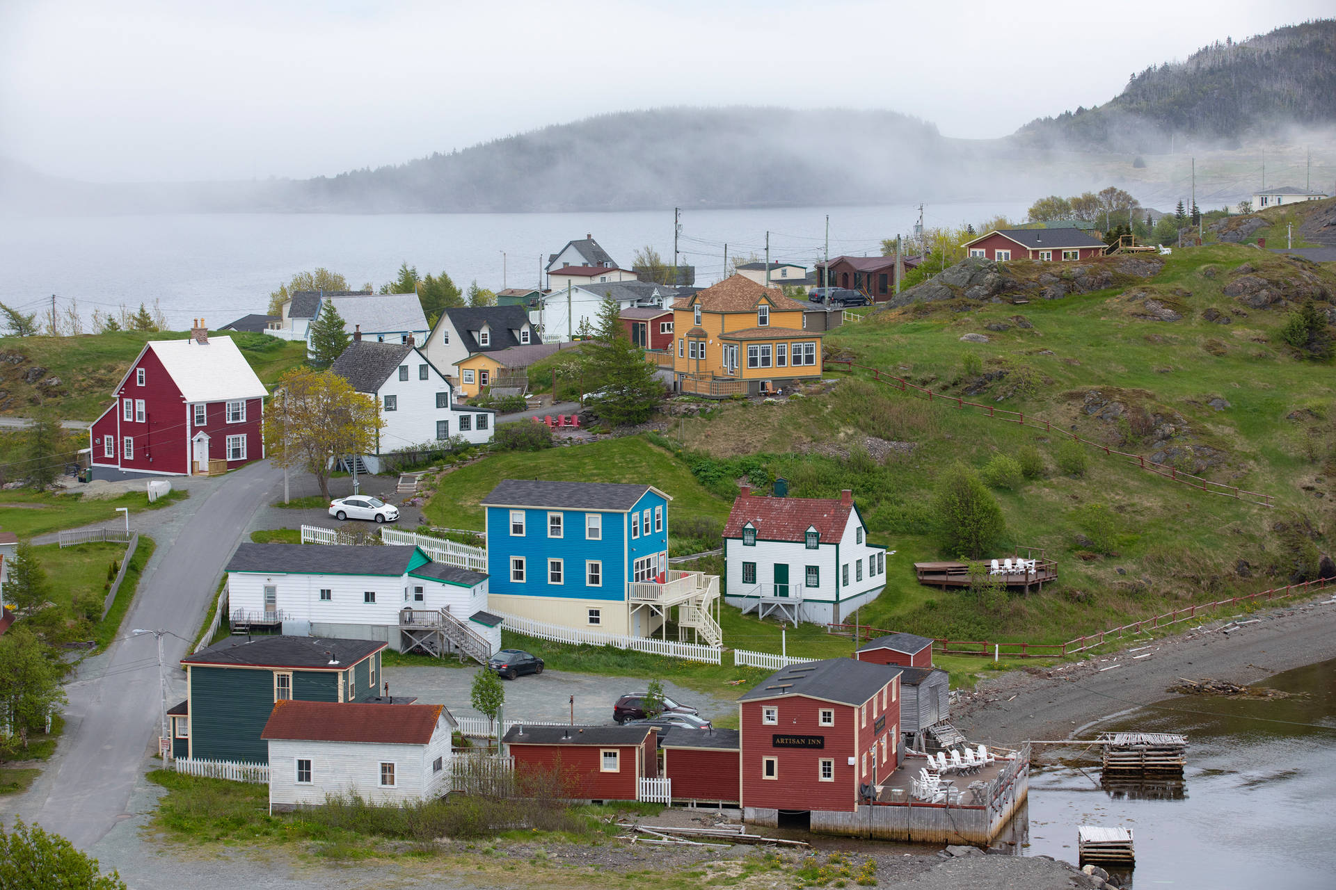 Newfoundland's Countryside Background