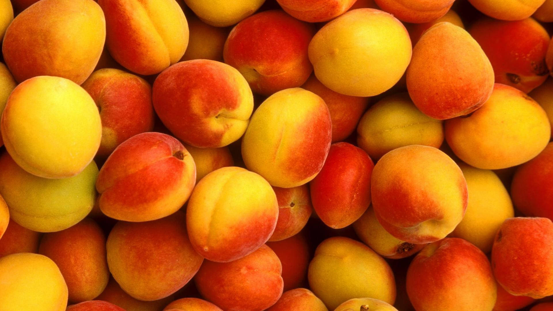 Newly Harvest Fresh Nectarine Background