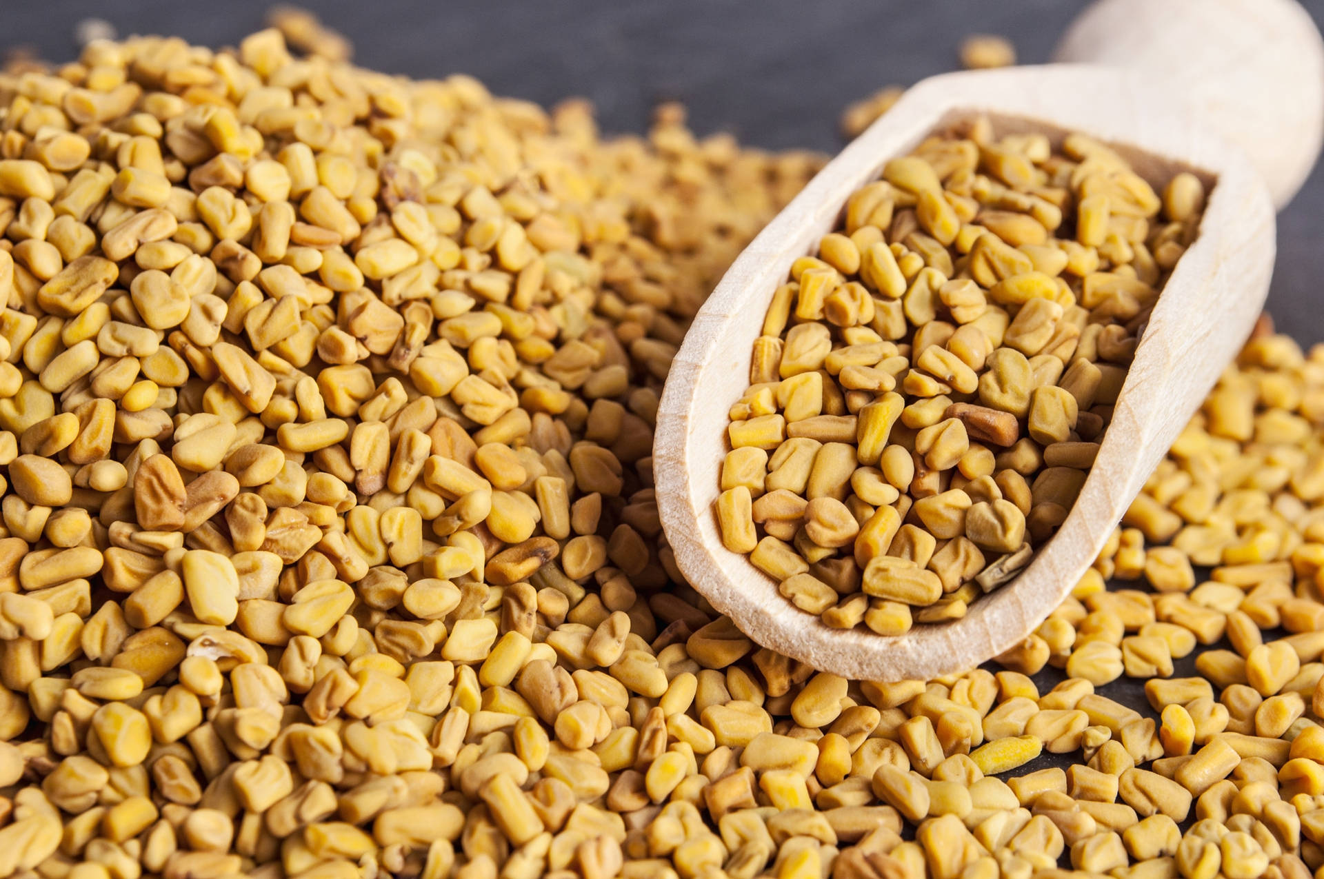 Newly Harvested Fenugreek Seeds