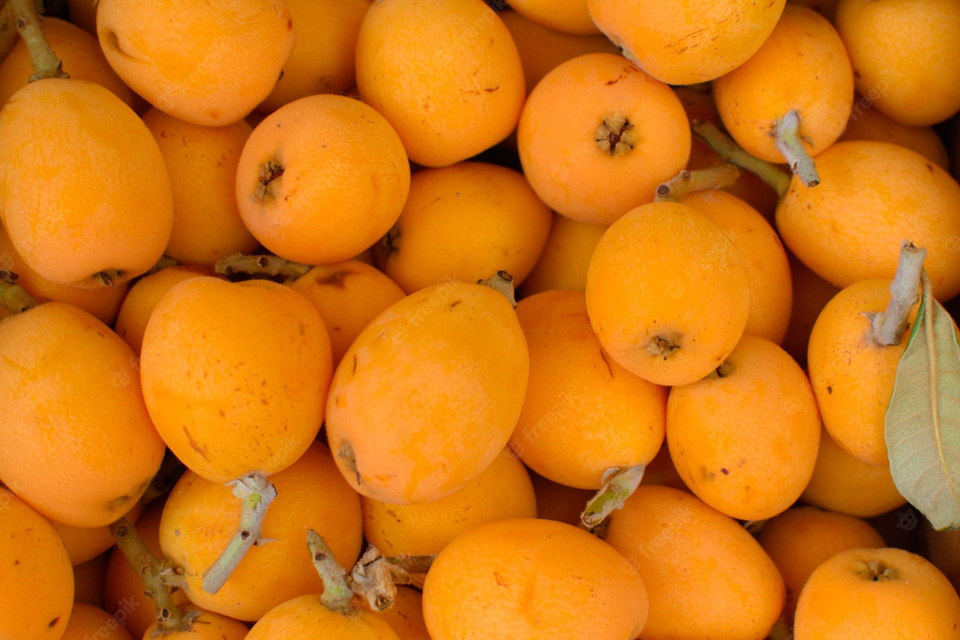 Newly Harvested Loquat Fruits Background