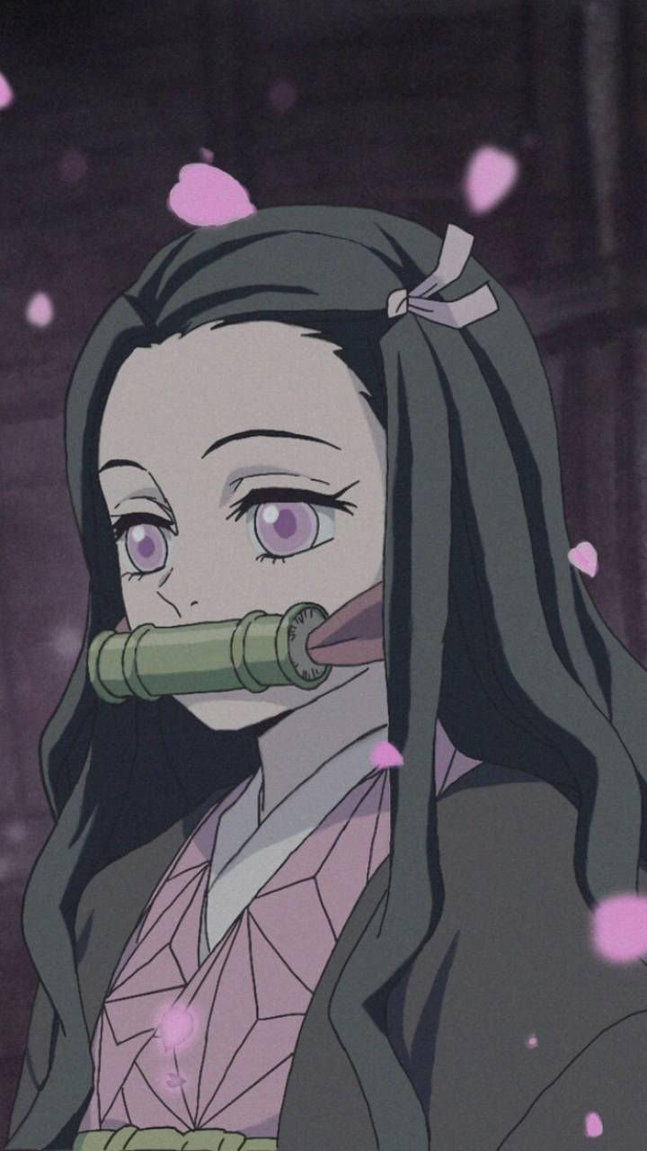 Nezuko's Adiction To Her Iphone Background