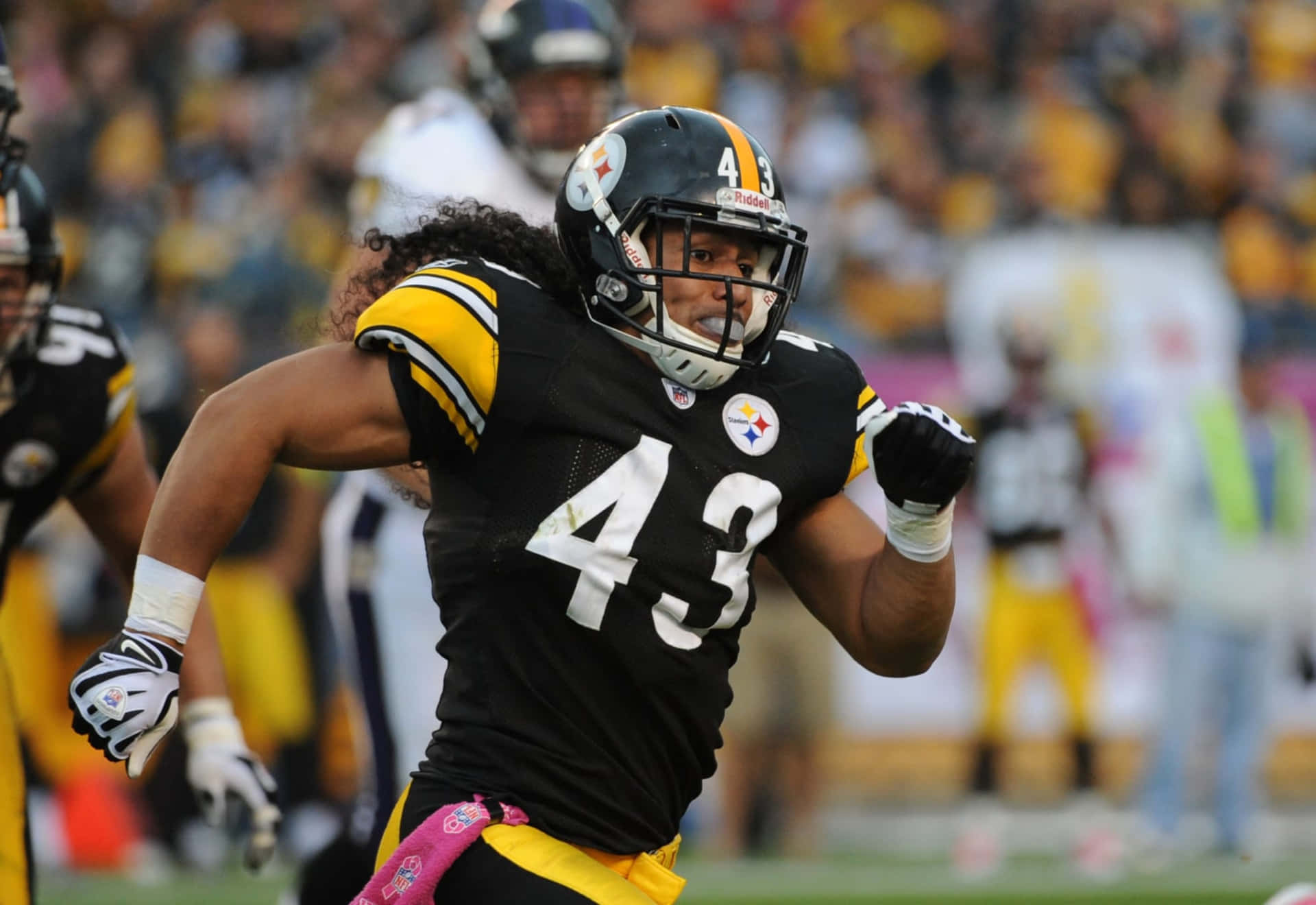 Nfl Football Player Troy Polamalu