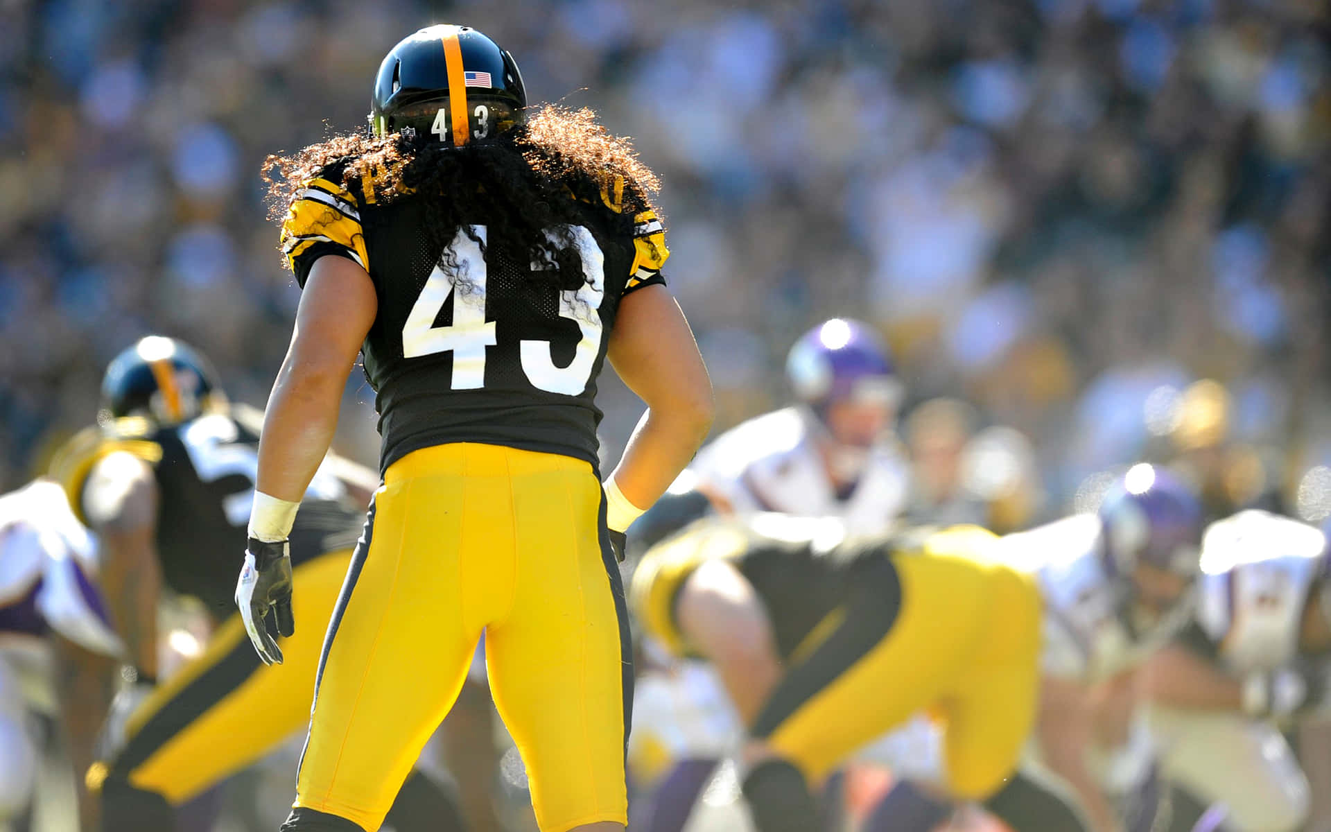 Nfl Legend Troy Polamalu. Background