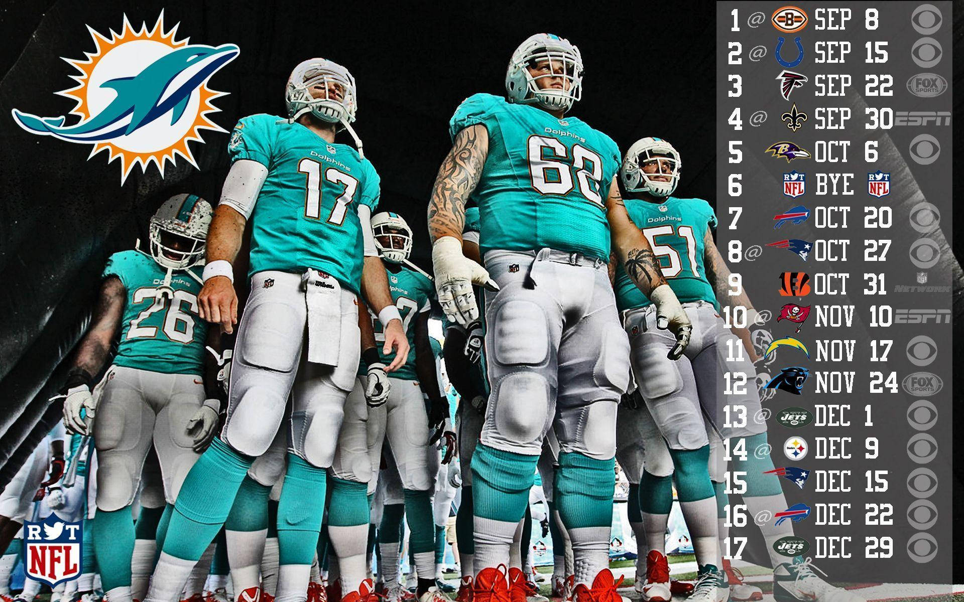 Nfl Miami Dolphins Players With Ryan Tannehill Background