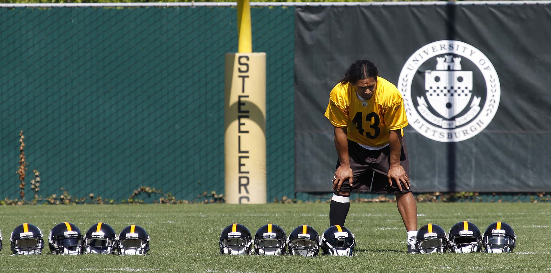 Nfl Safety Troy Polamalu Of The Pittsburgh Steelers Background