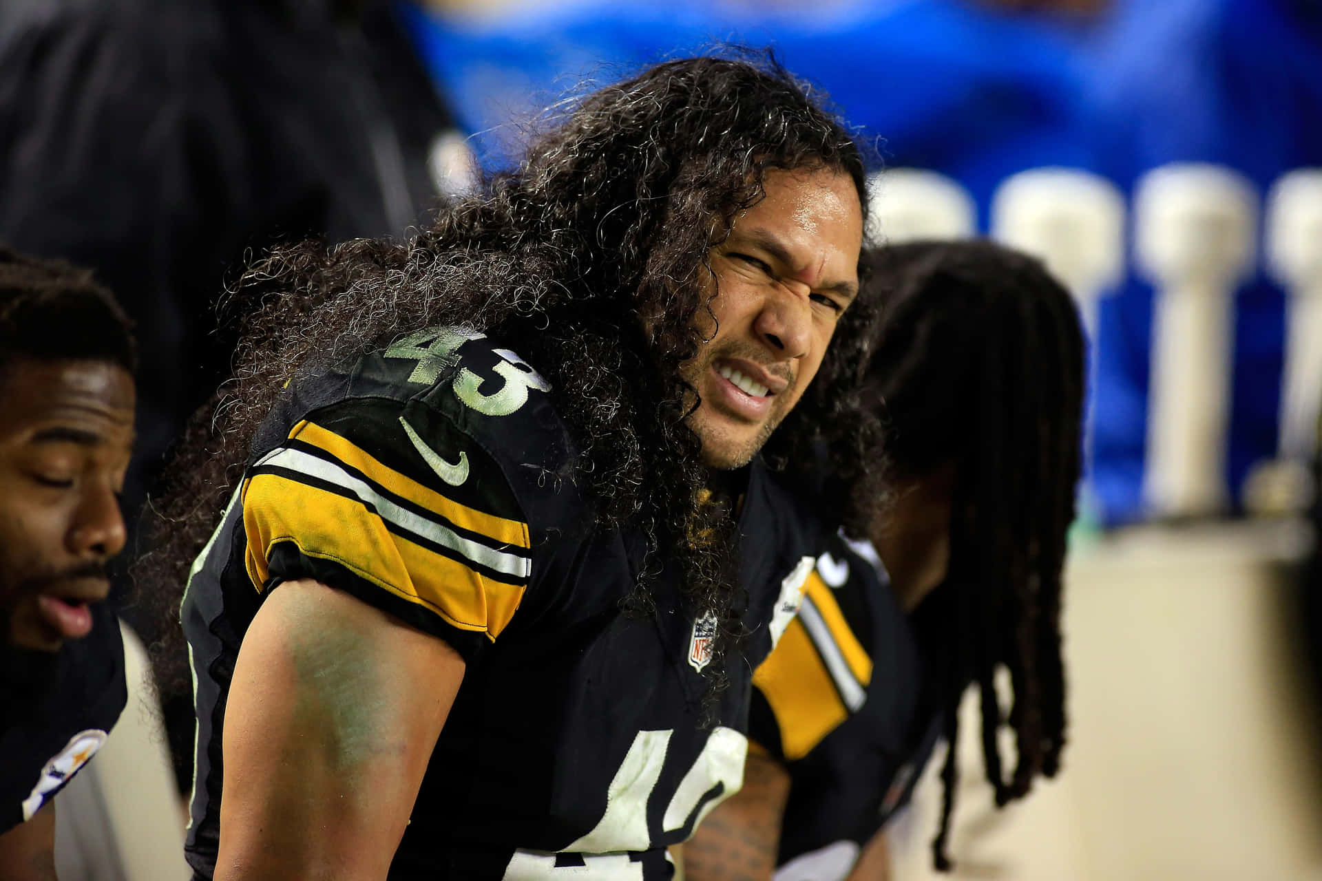 Nfl Safety Troy Polamalu Background