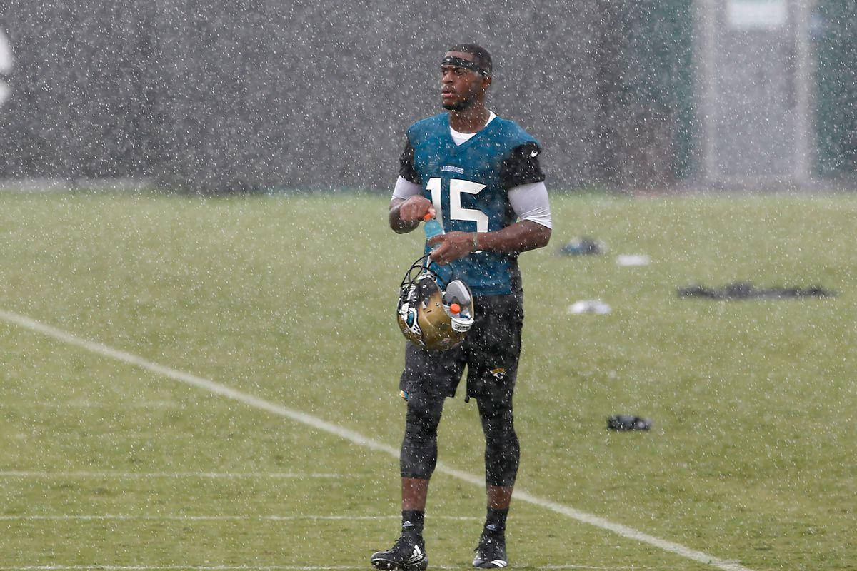 Nfl Season Conference No.15 Allen Robinson Background