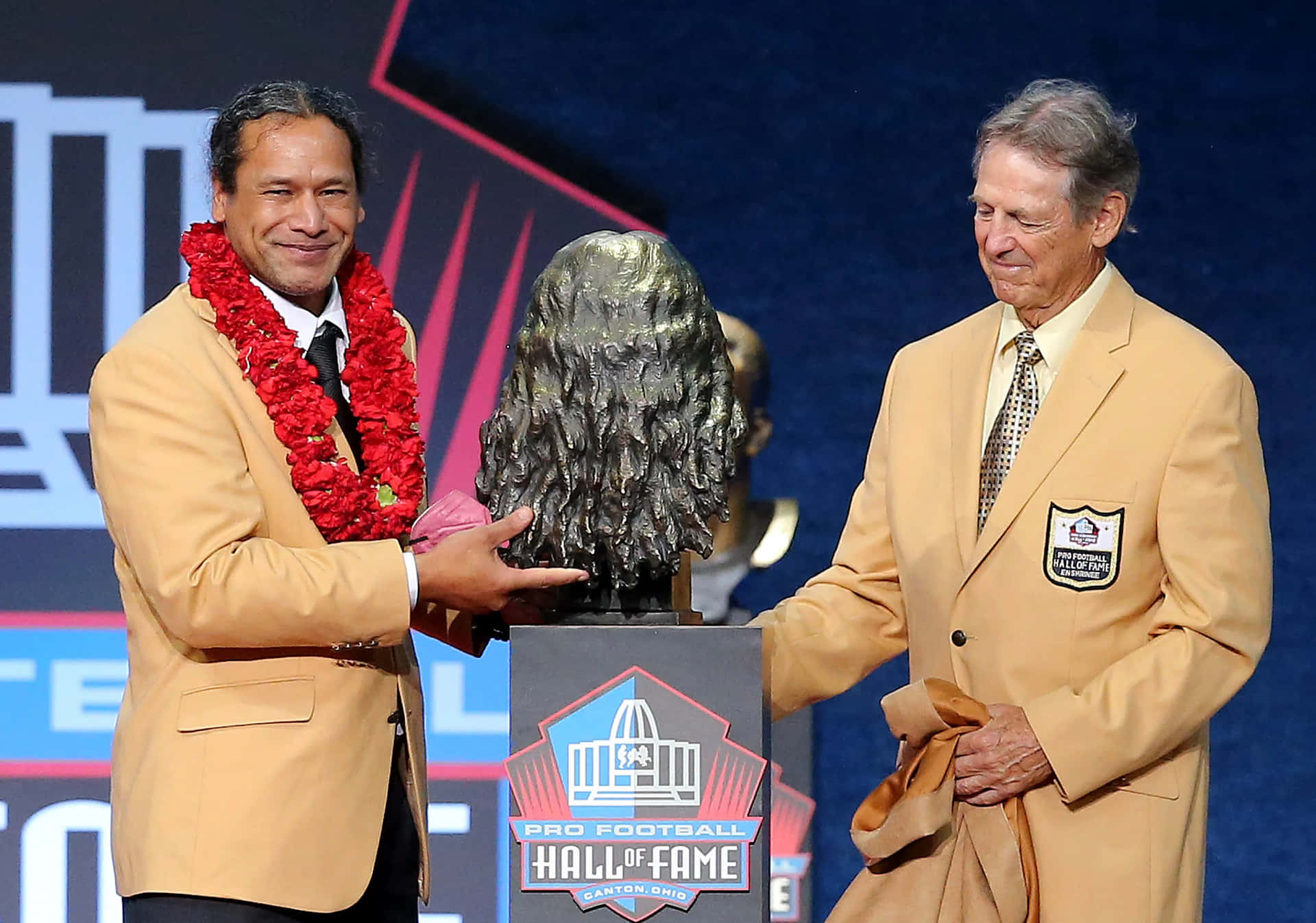 Nfl Star Troy Polamalu Background
