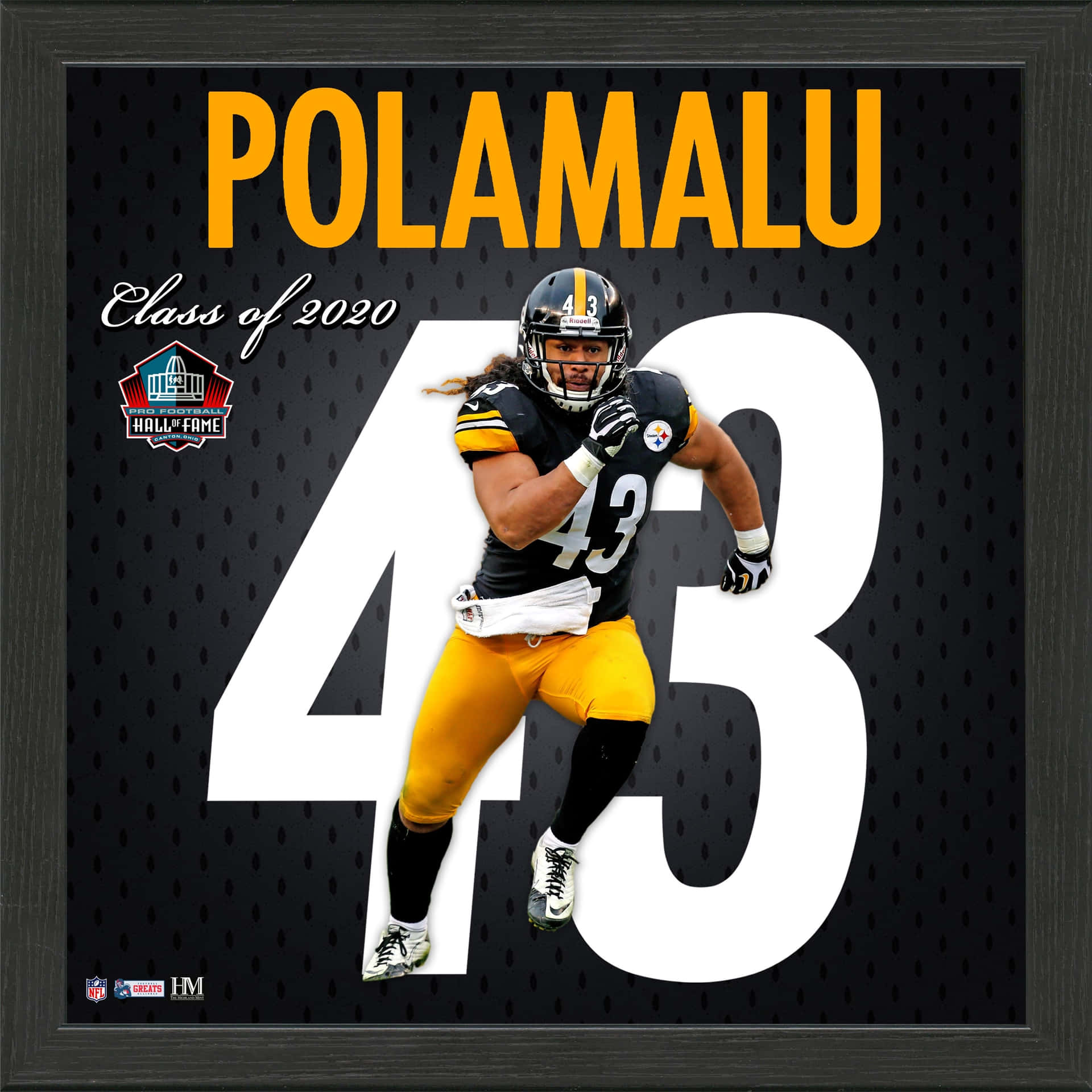 Nfl Superstar Troy Polamalu
