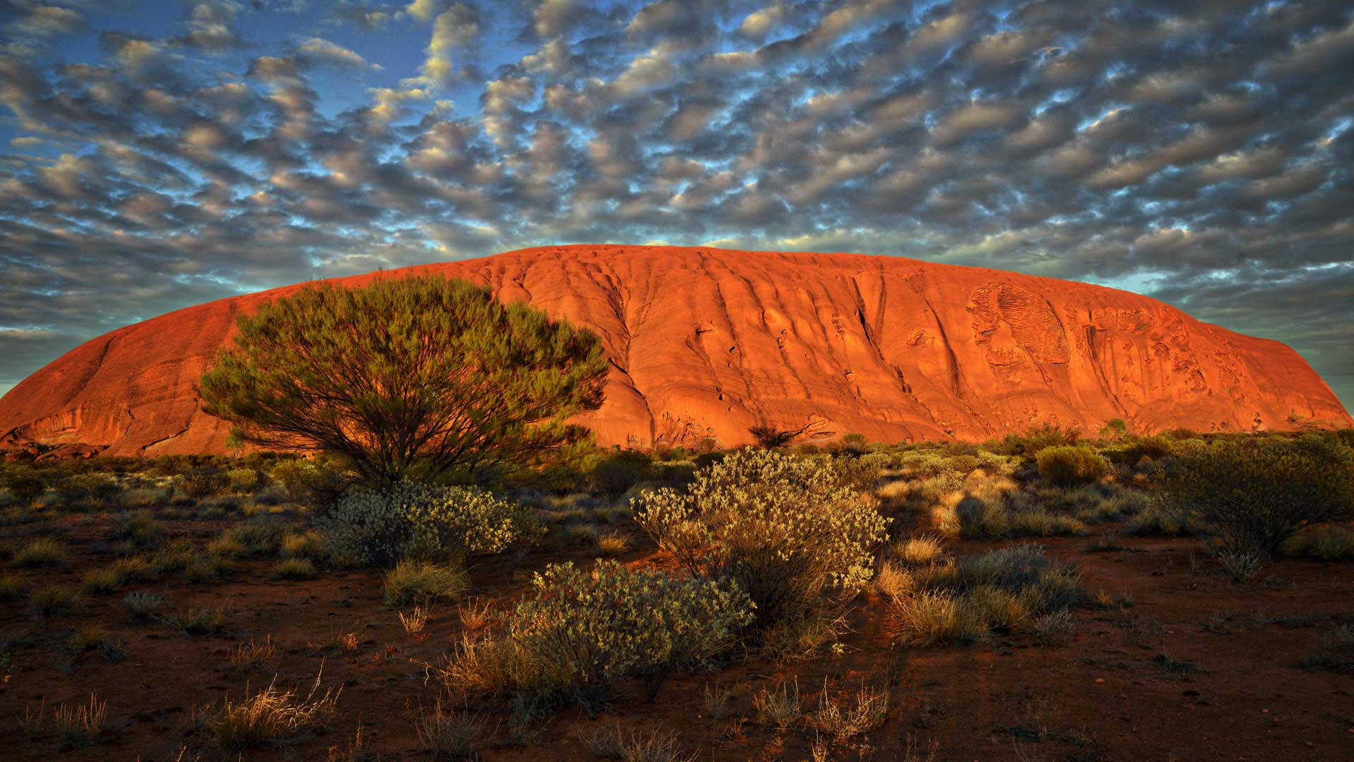 Nice Australian Outback Uluru Background