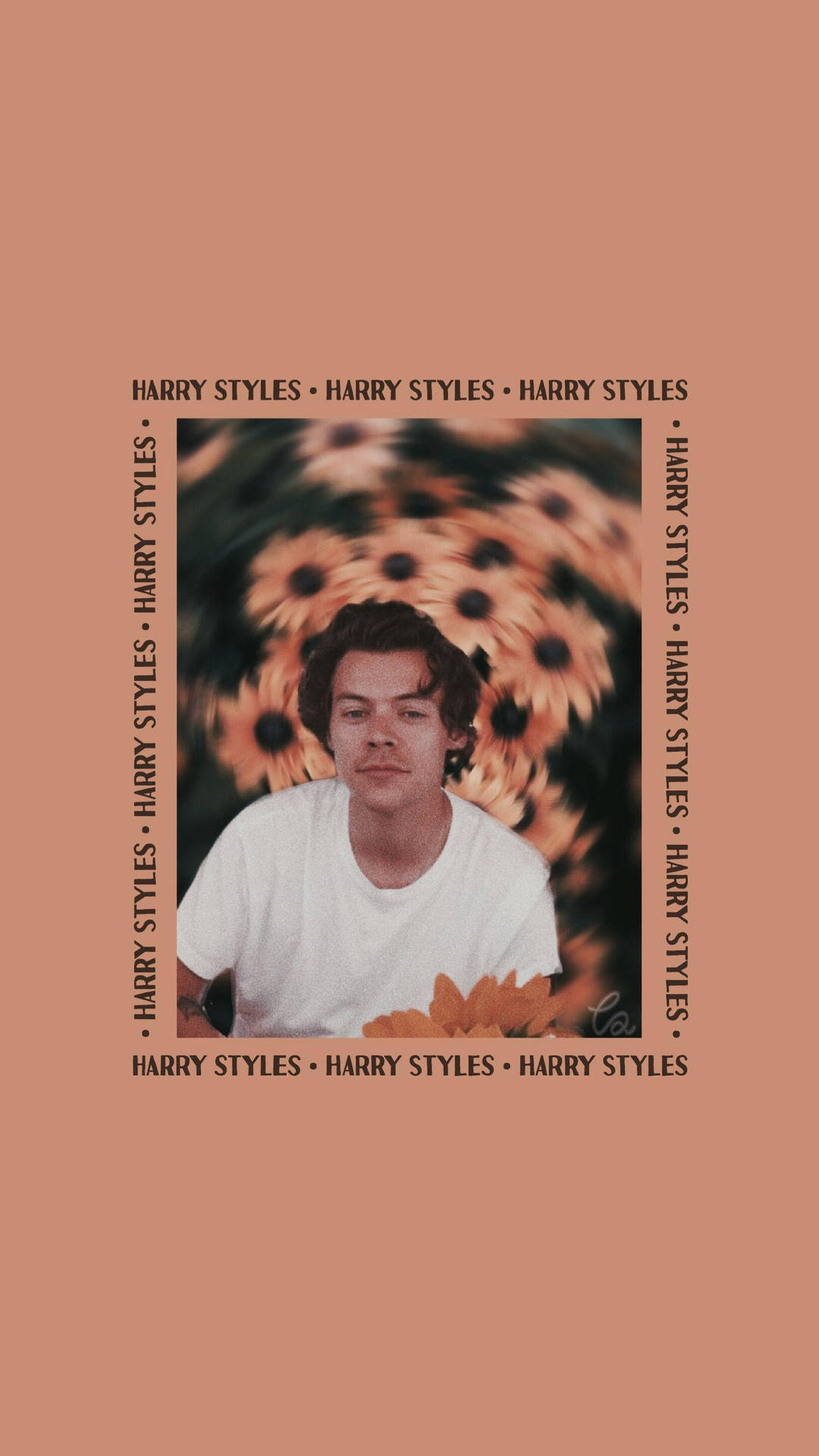 Nice Harry Styles Aesthetic Design Background