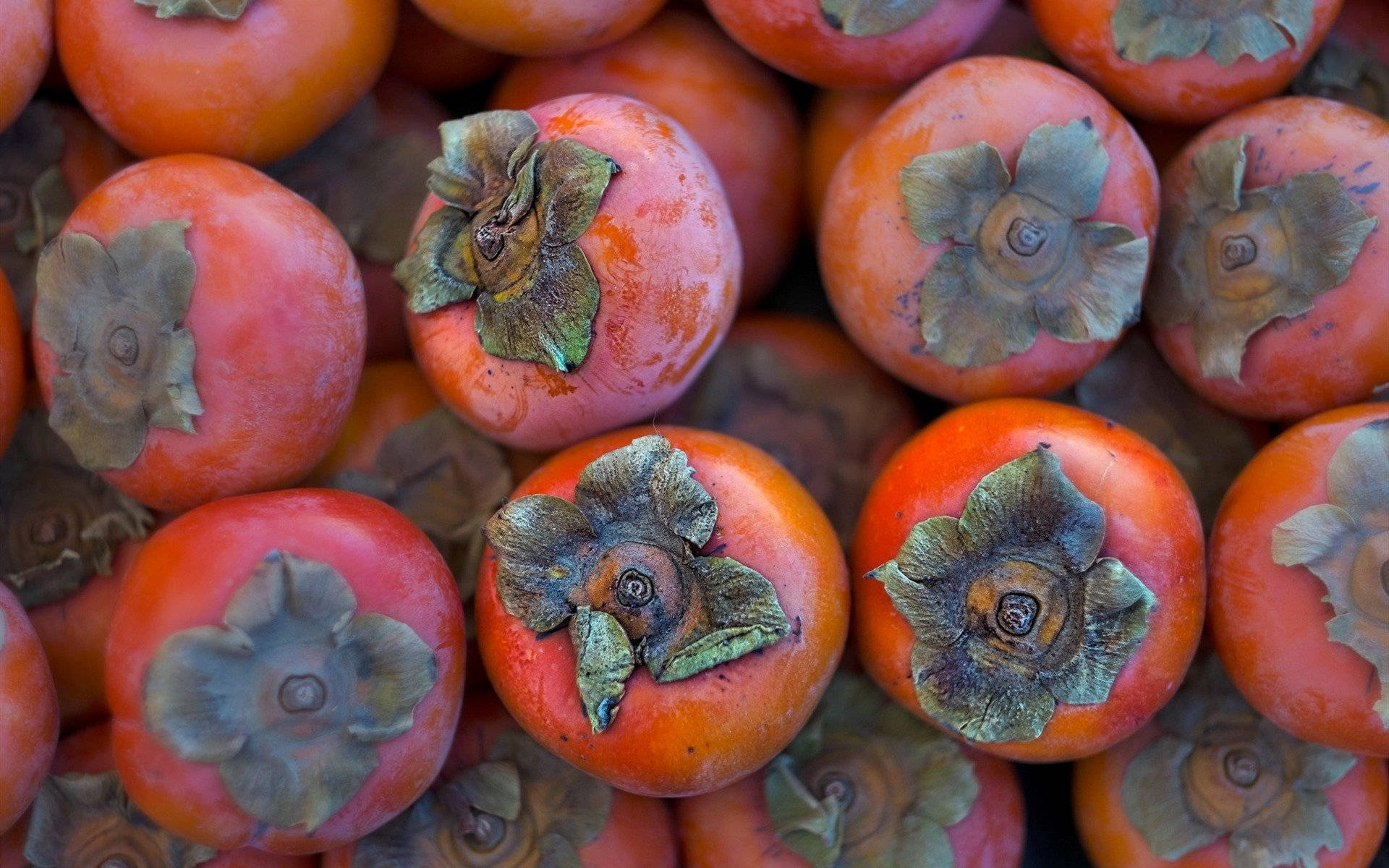 Nice Persimmon Fruit