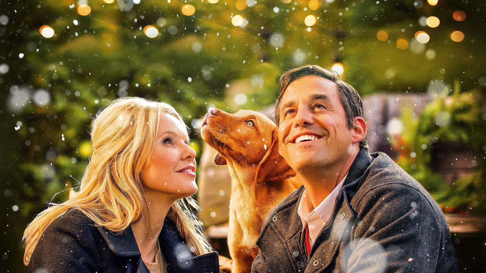 Nicholas Brendon In A Golden Christmas Background
