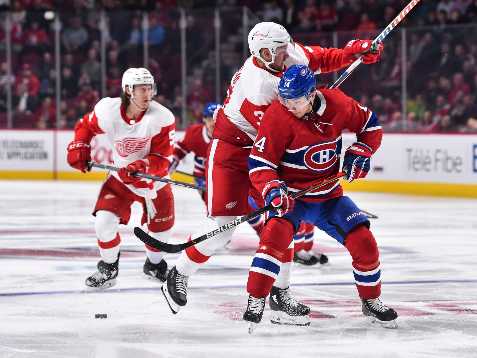 Nick Suzuki Montreal Canadiens Vs Detroit Red Wings Background