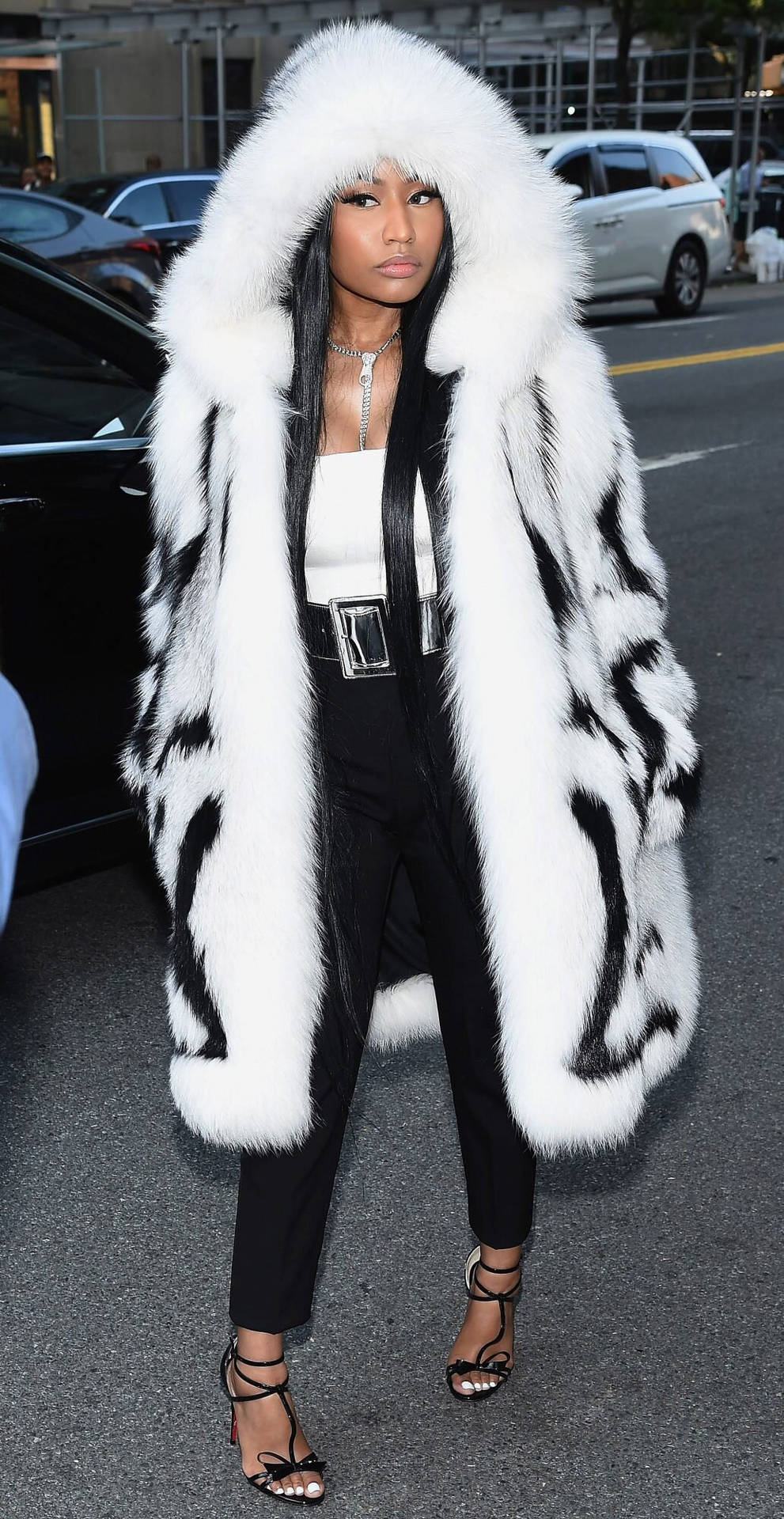 Nicki Minaj Wearing Animal Fur Coat Background