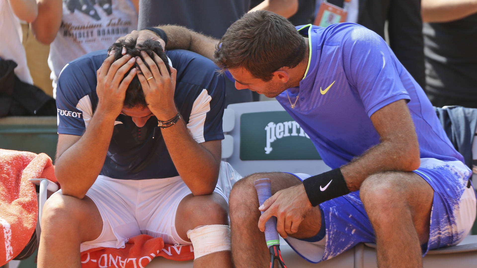 Nicolas Almagro And Juan Martín Del Potro