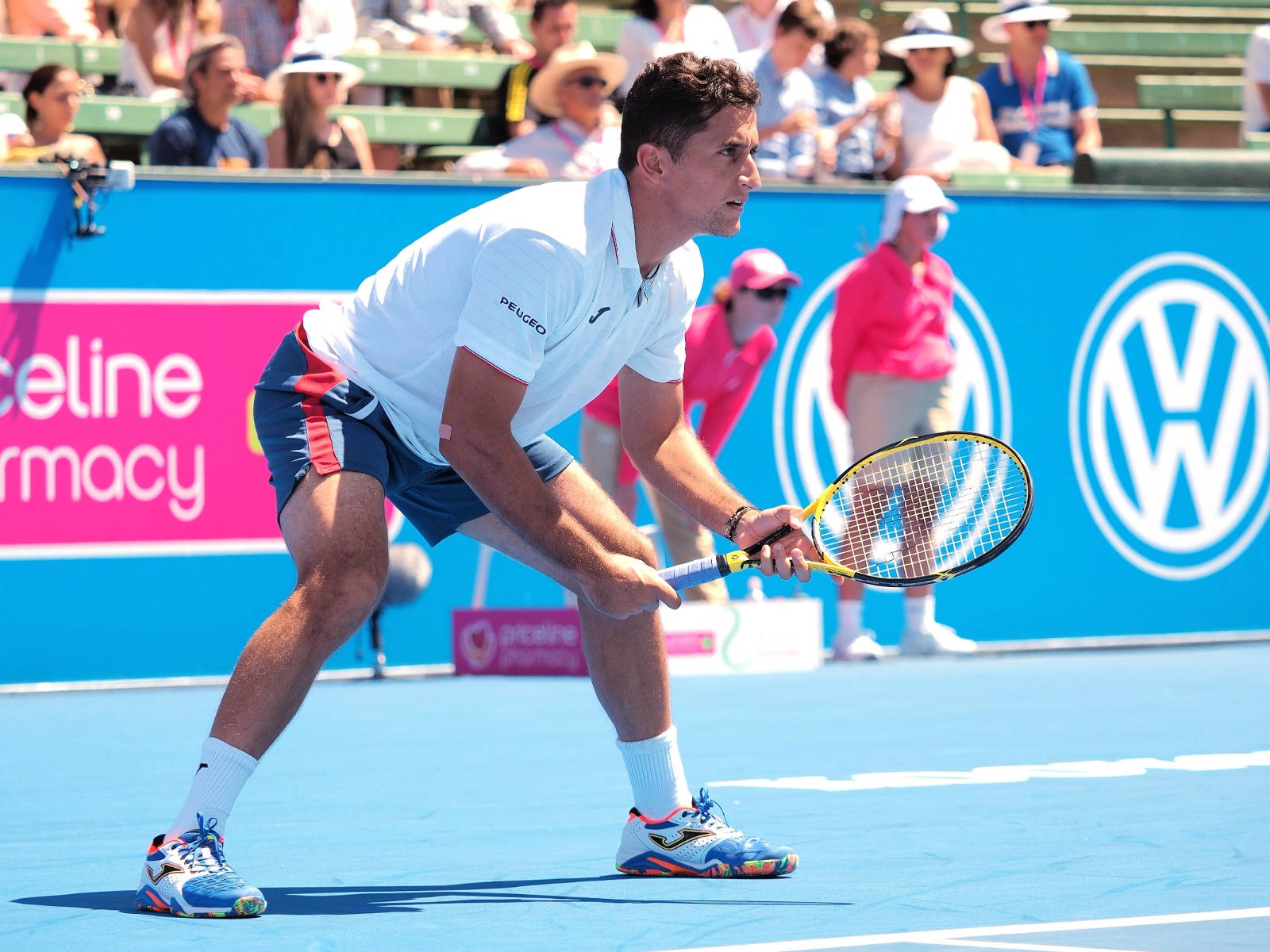 Nicolas Almagro Ready To Spring