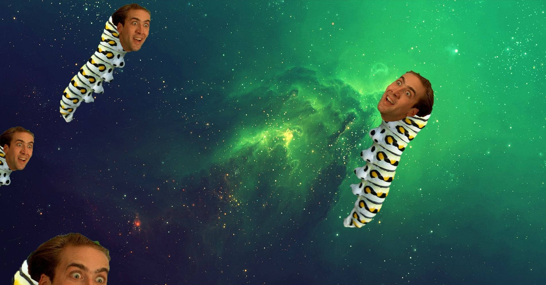 Nicolas Cage Caterpillar Meme Background