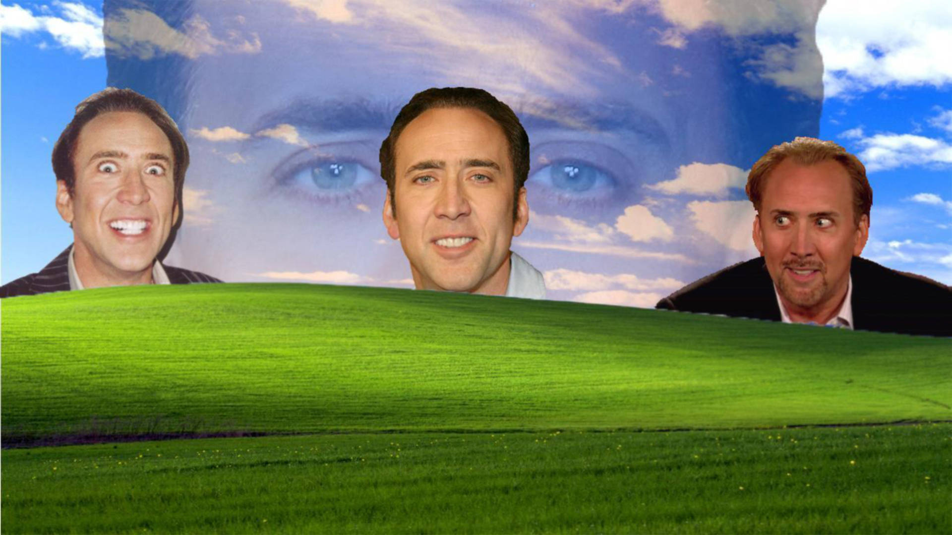 Nicolas Cage Meme Bliss Meadow Background