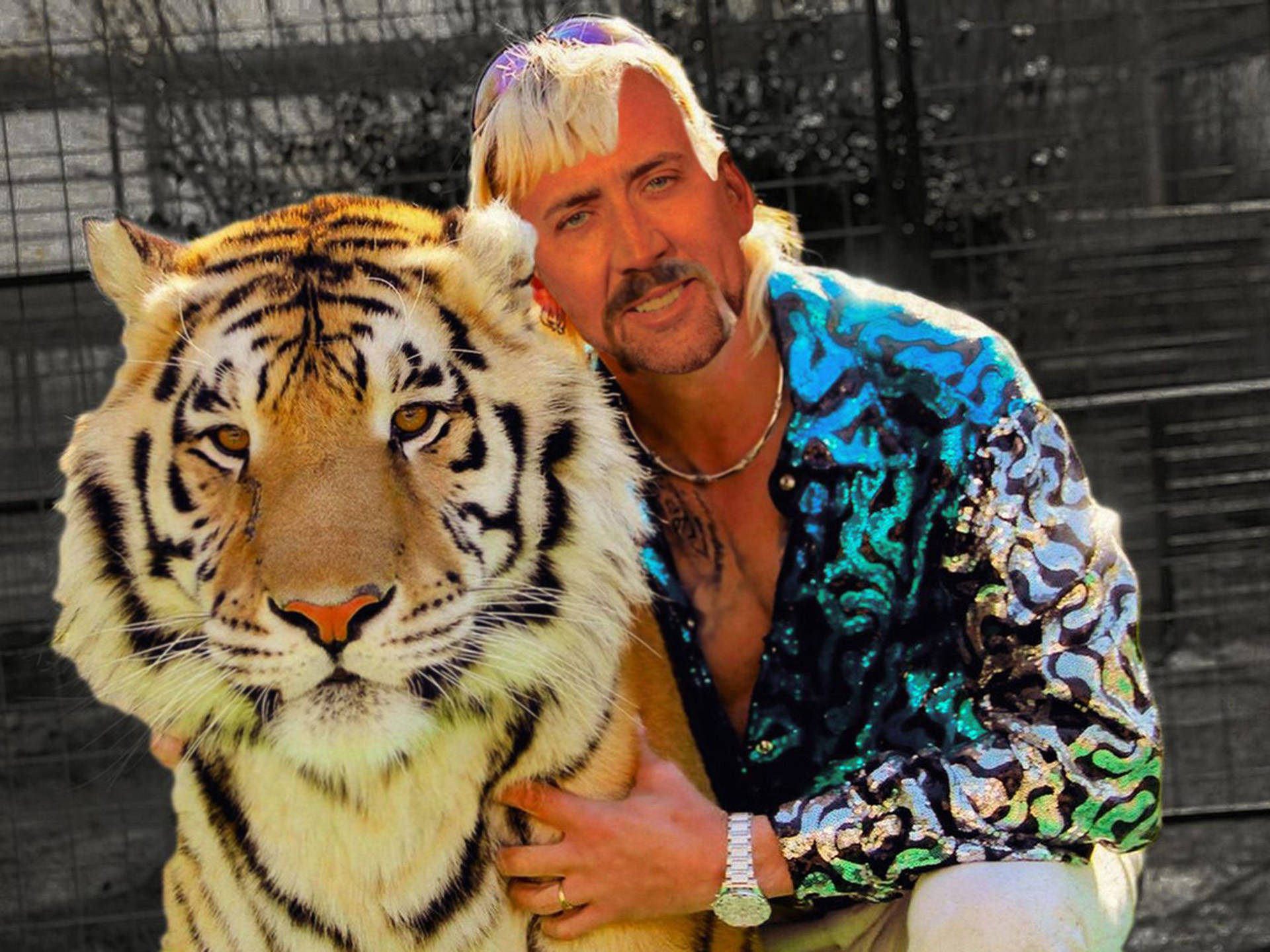 Nicolas Cage Meme Tiger King Background