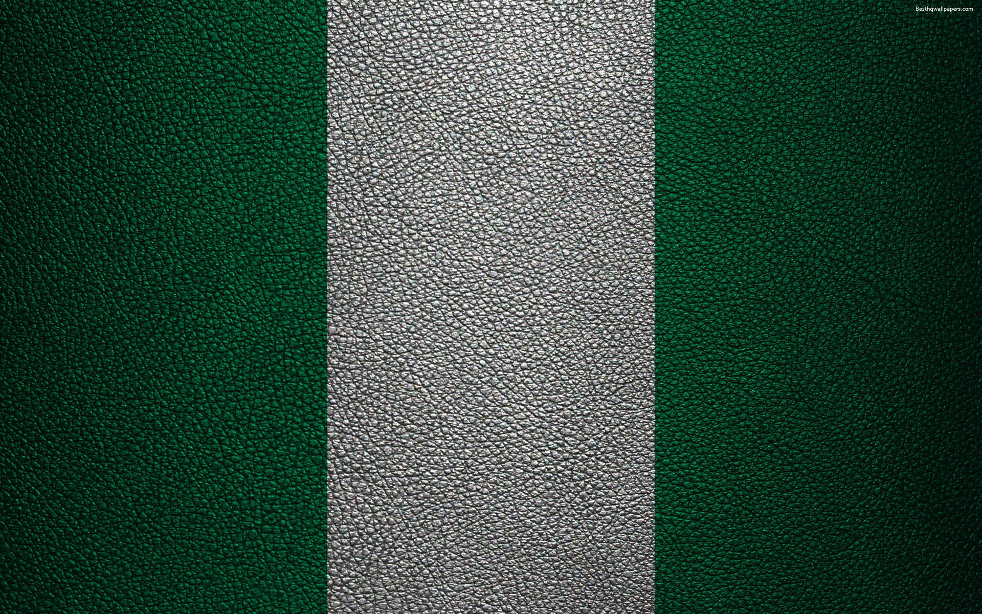 Nigeria Textured Flag Background